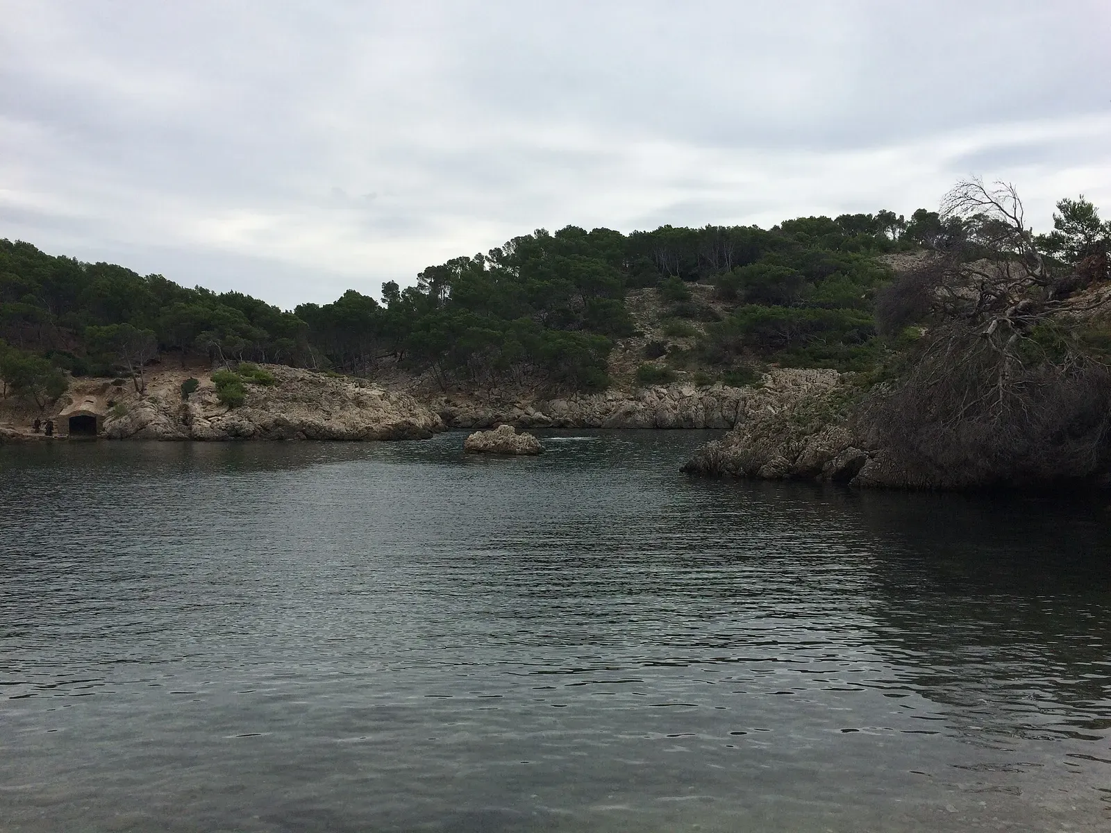 Green-tinted water of the Caló des Monjo cove framed by wooded limestone cliffs