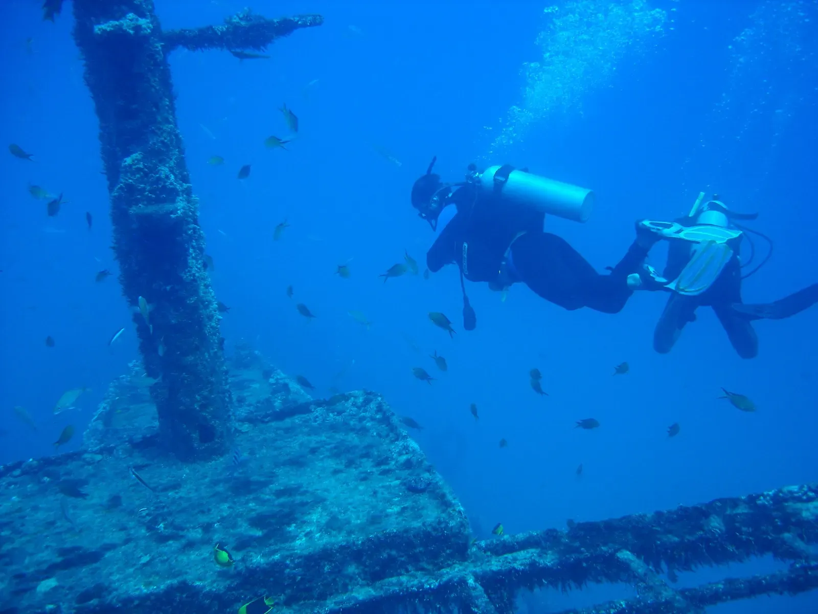 Two scuba divers swim over an encrusted shipwreck deck with small fish around a mast — Porto de Galinhas