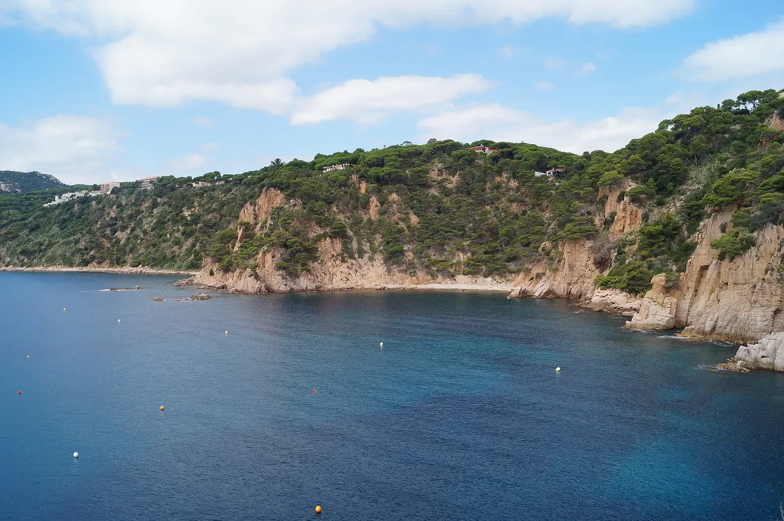 Wooded cliffs enclosing a turquoise cove, seen from the Mirador de les Modistes viewpoint