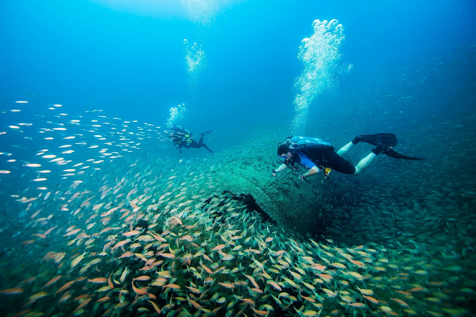 A diver hovers over a wreck beam thick with fish, a second diver trailing bubbles in the background — USS Schurz, North Carolina Wrecks.