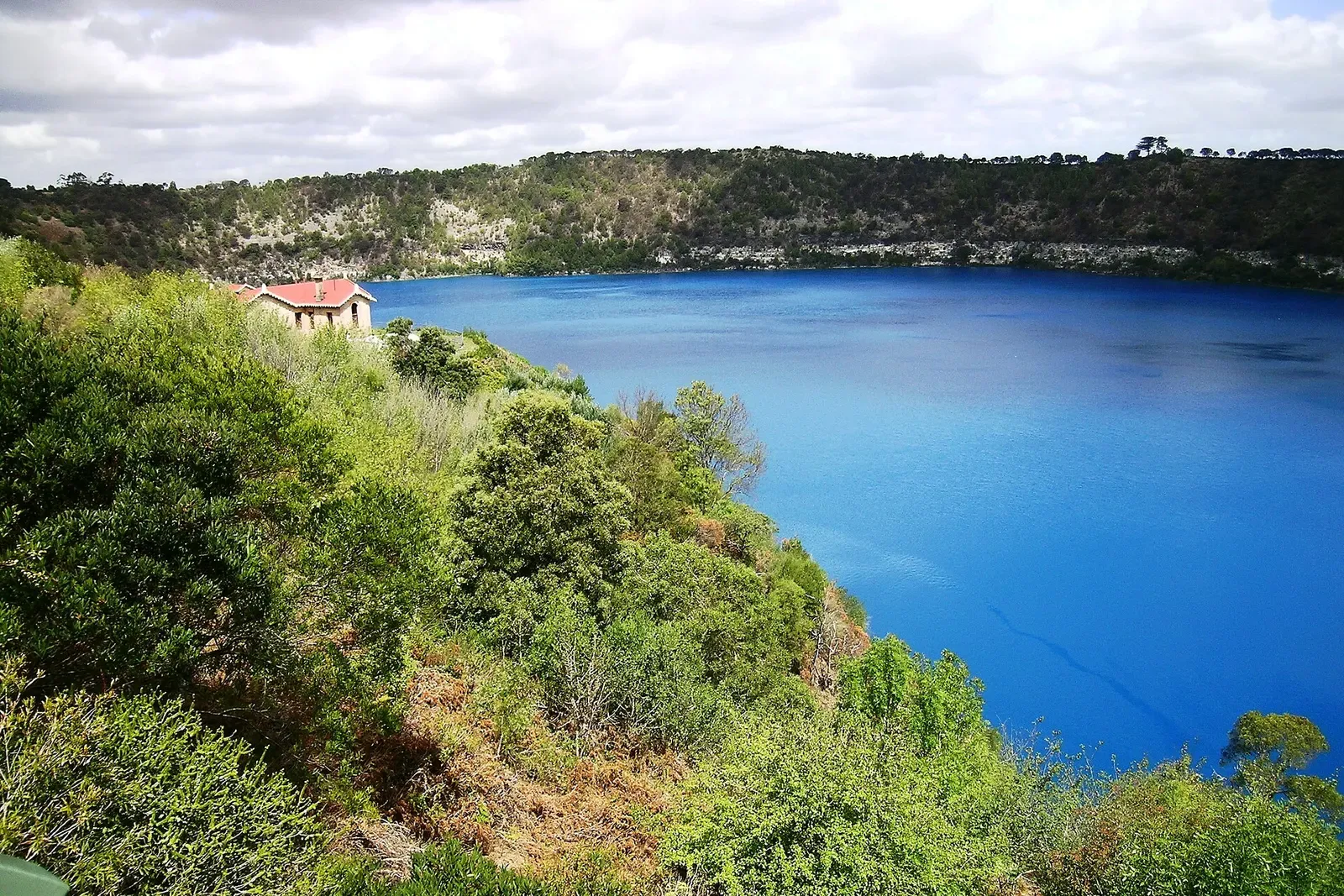 The vivid blue crater lake at Mount Gambier seen from the vegetated rim