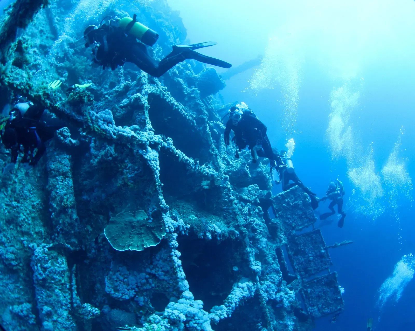 Divers exploring the lattice superstructure of the Numidia wreck off Big Brother Island — Brothers & Daedalus