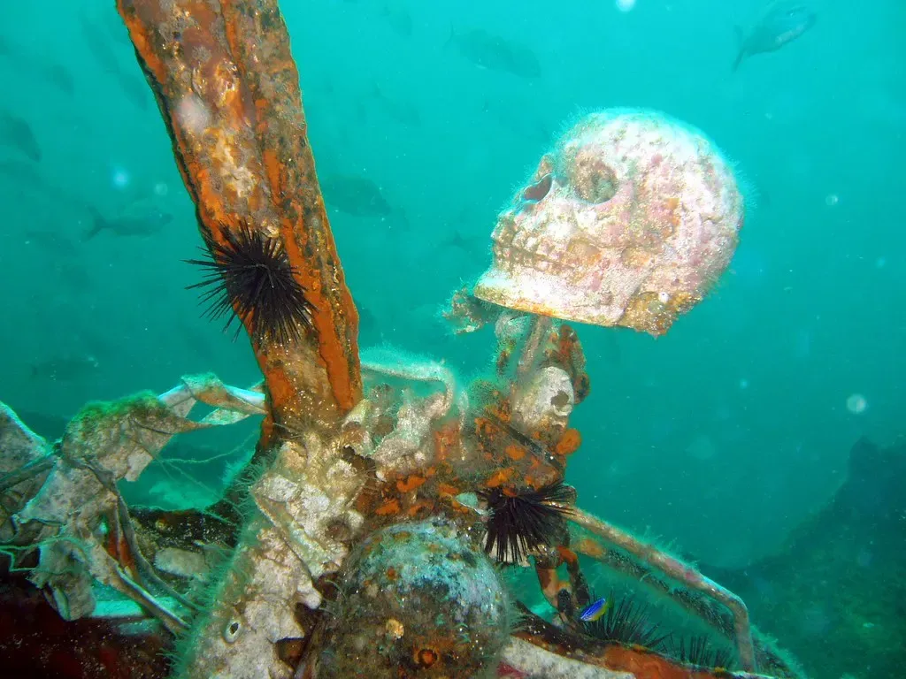 Plastic skeleton with sea urchins on a rusted pipe inside a wreck, fish in green-blue water — Black Bart, Panama City Beach