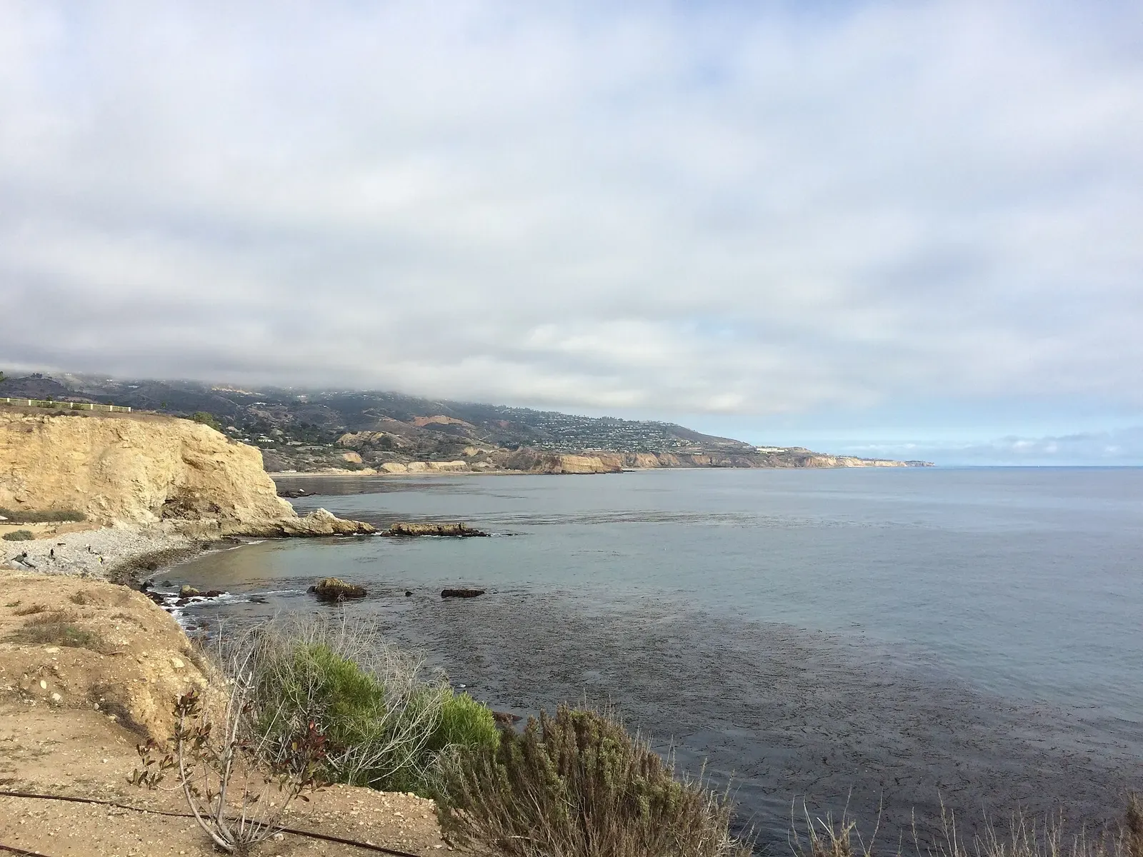 Rocky Palos Verdes shoreline with kelp beds on the water and hills fading into the distance — Old Marineland