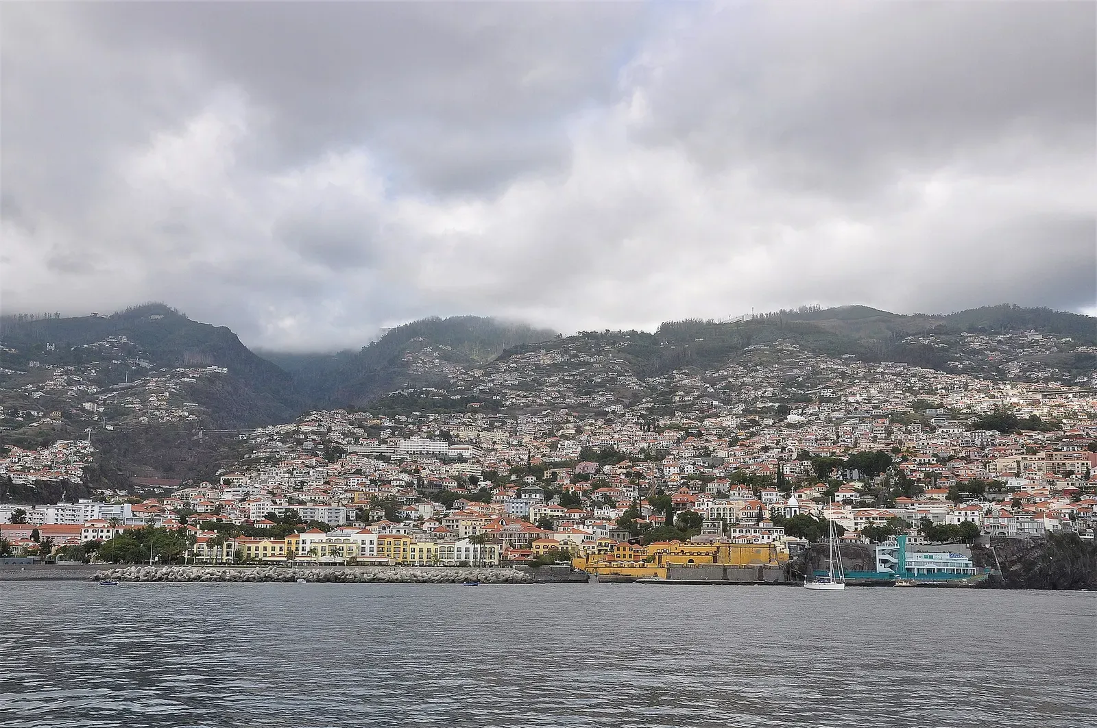 Funchal's amphitheatre of white buildings climbs the green hillside above its seafront and breakwater — Madeira