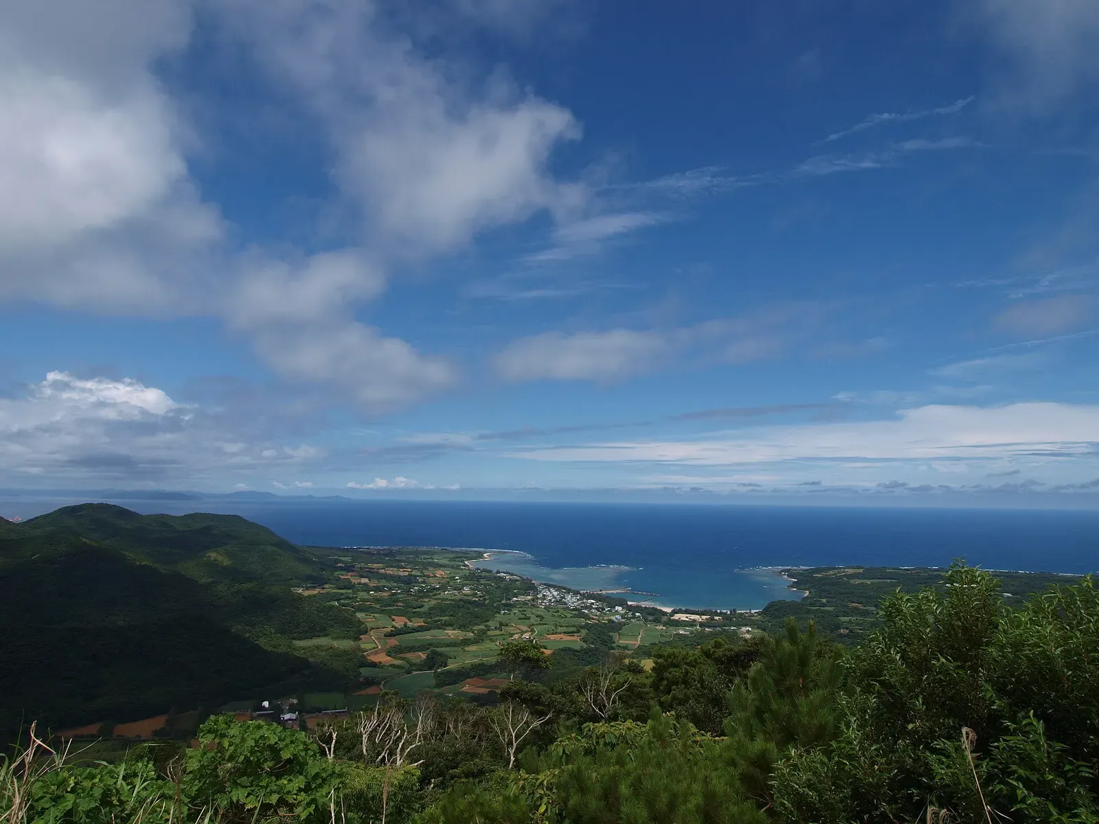 View from a forested hilltop over farmland to a bay of turquoise shallows inside a reef edge, with deep blue sea beyond — Tokunoshima