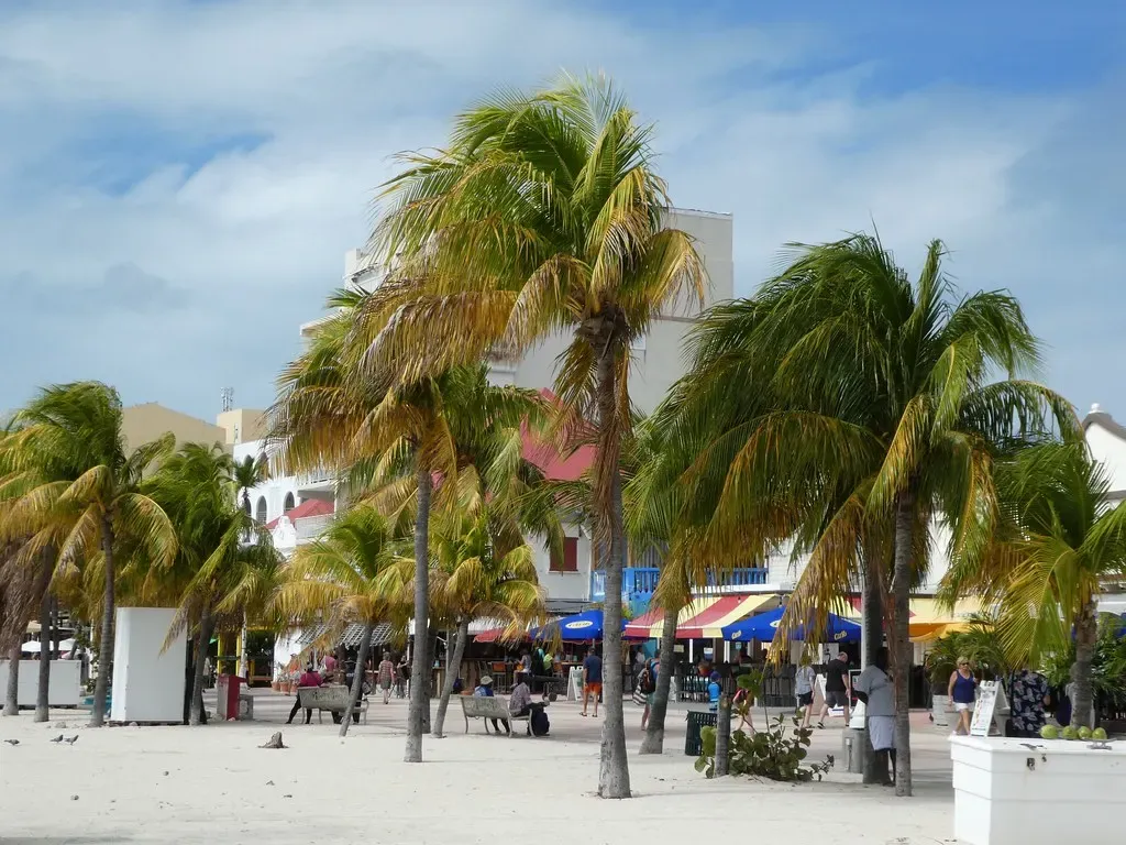 Palm trees along Philipsburg's Front Street boardwalk with shops and beach behind