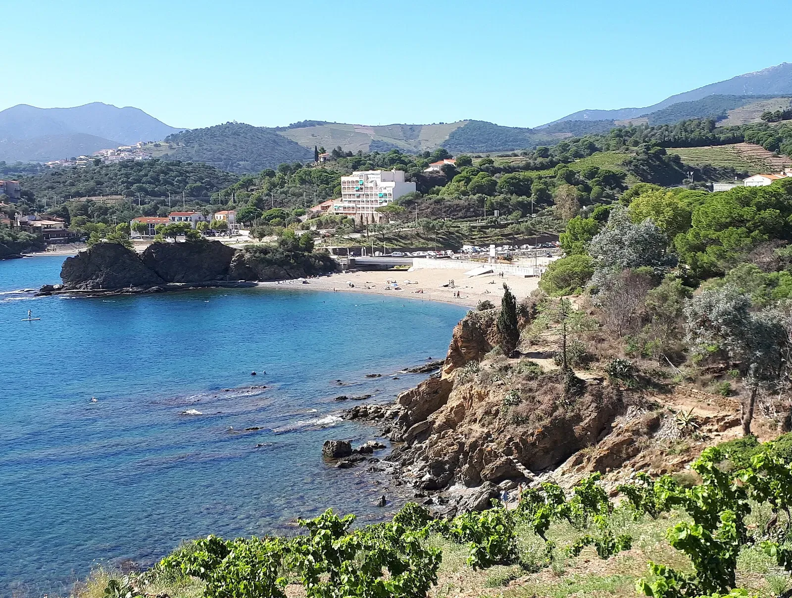 Rocky headland and pebble beach at Banyuls-sur-Mer with vineyards on the slope above.