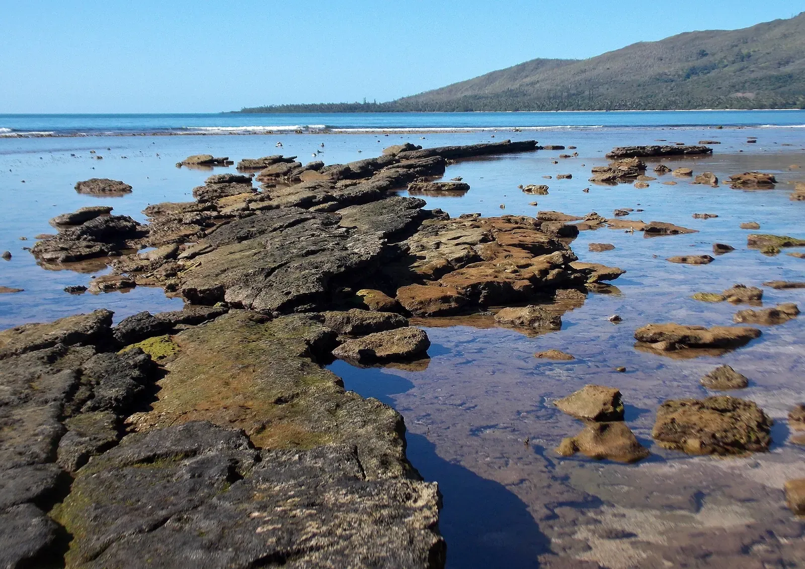 Fossilized coral reef flat exposed at low tide off Îlot Tibarama near Poindimié