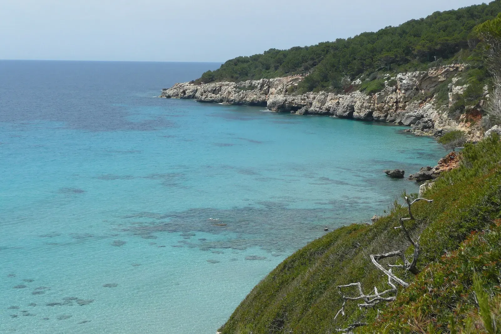 Turquoise cove and pine-covered headland at Platja de Binigaus, Menorca's south coast