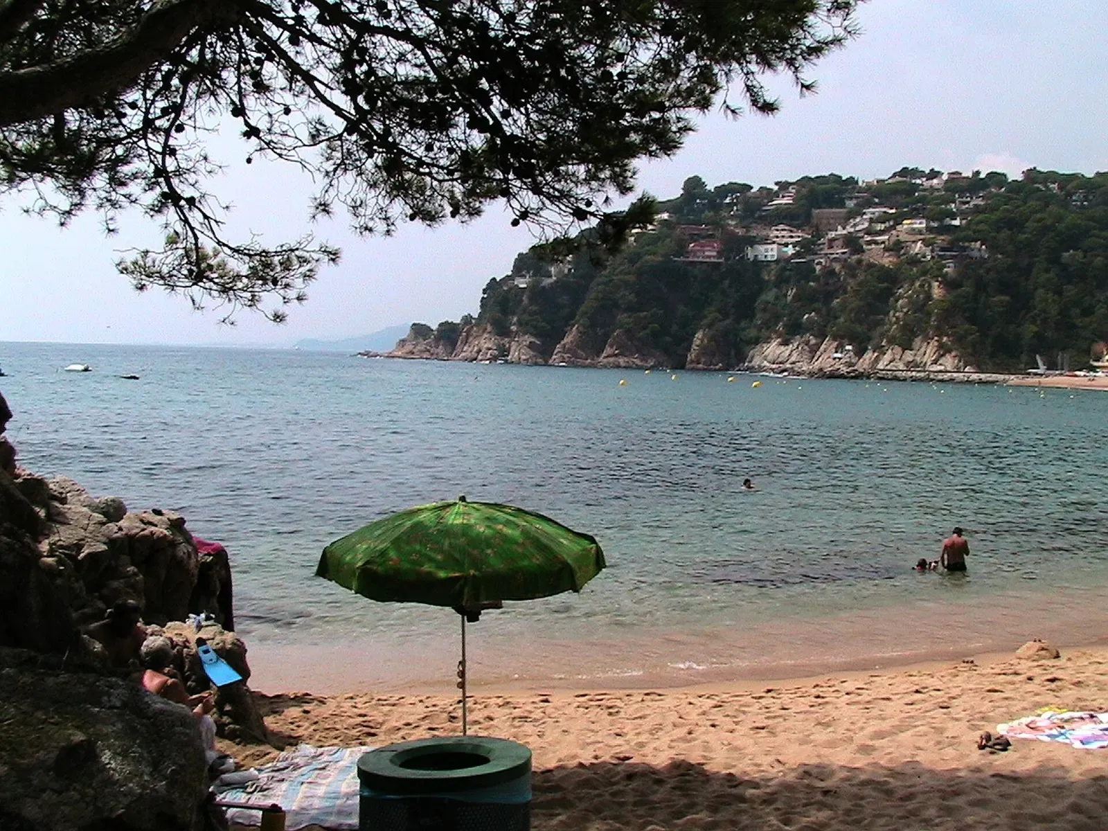 Cala Canyelles beach framed by pine branches, with a green sun umbrella on the sand.