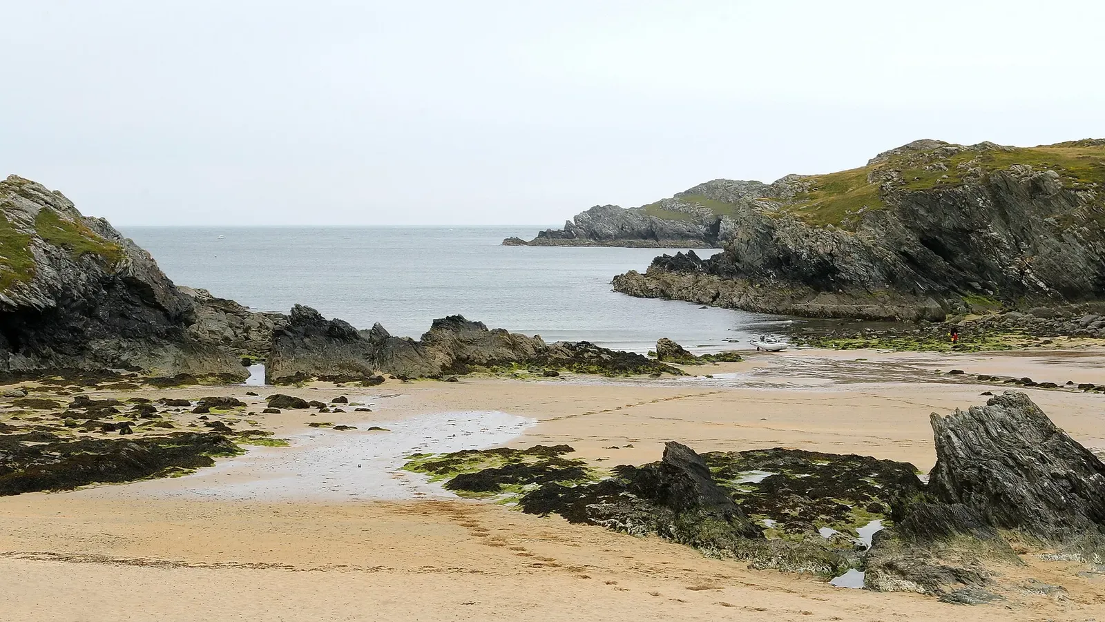 A sandy beach with weed-covered rocks leading out to a rocky headland and calm sea — Porth Dafarch, Anglesey