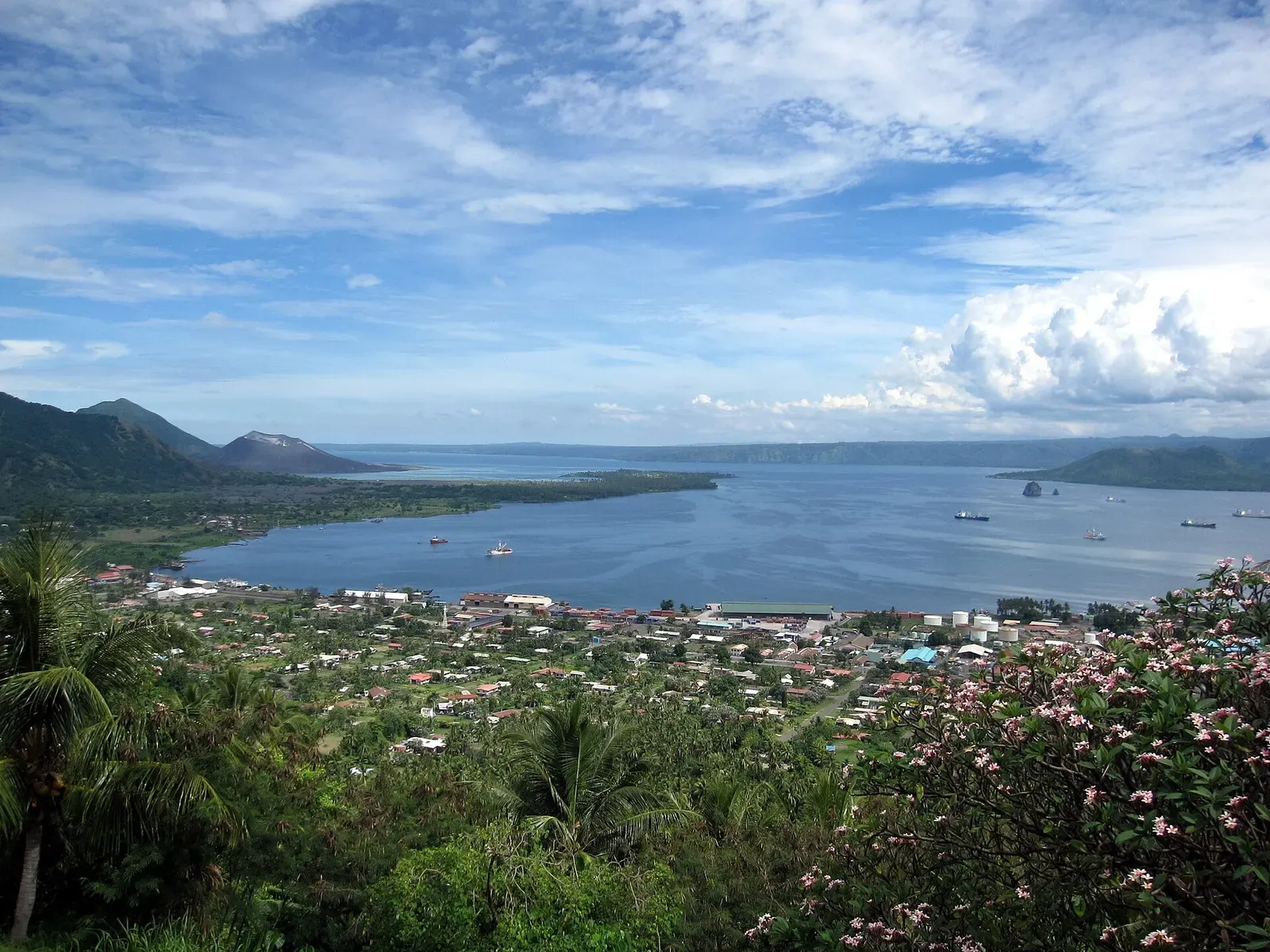 View over palms and the town to a wide blue harbour ringed by green volcanic hills, ships at anchor — Rabaul & Simpson Harbour