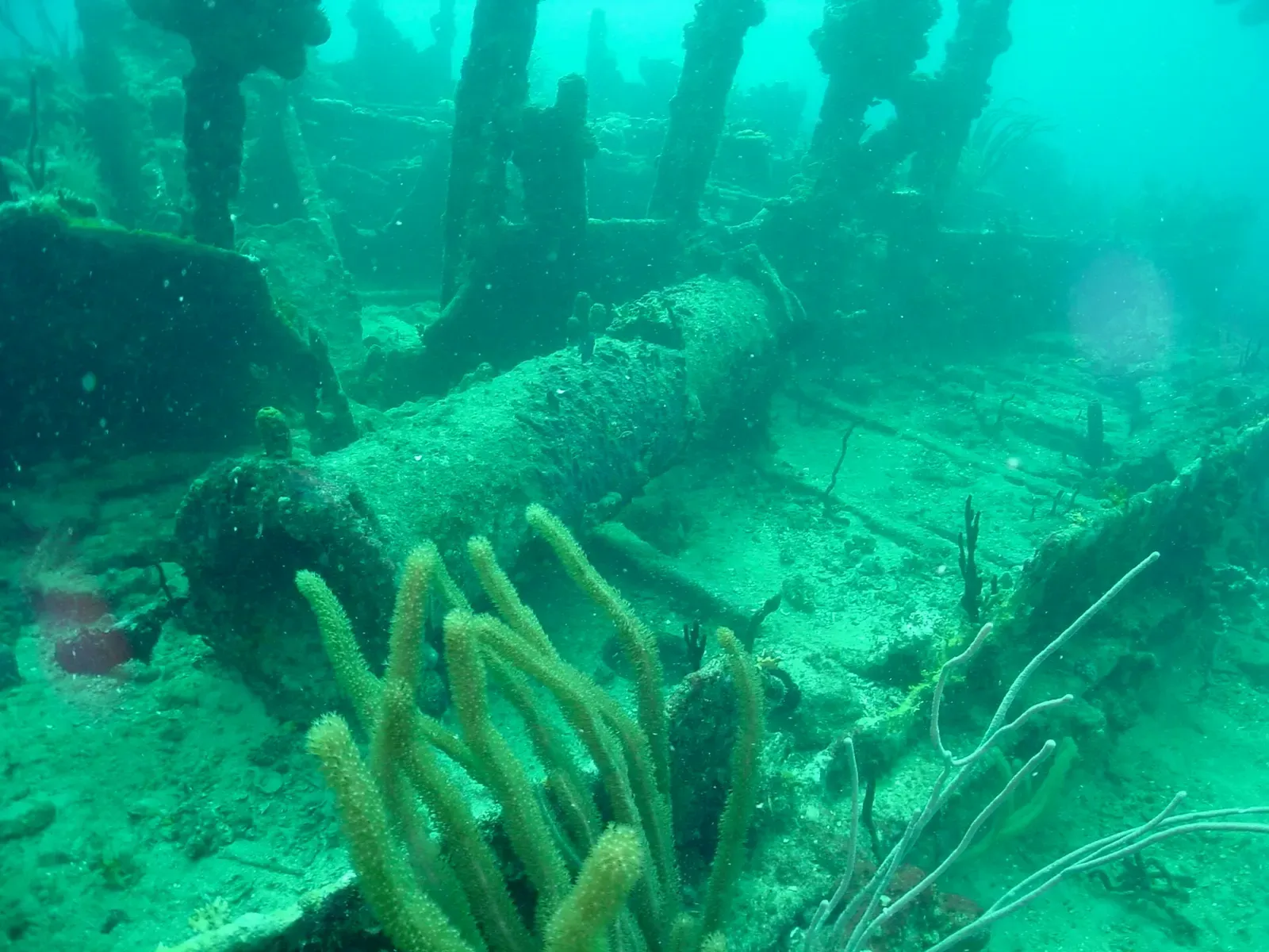 Encrusted deck beam and soft corals growing on the wreck's intact bow structure — BVI