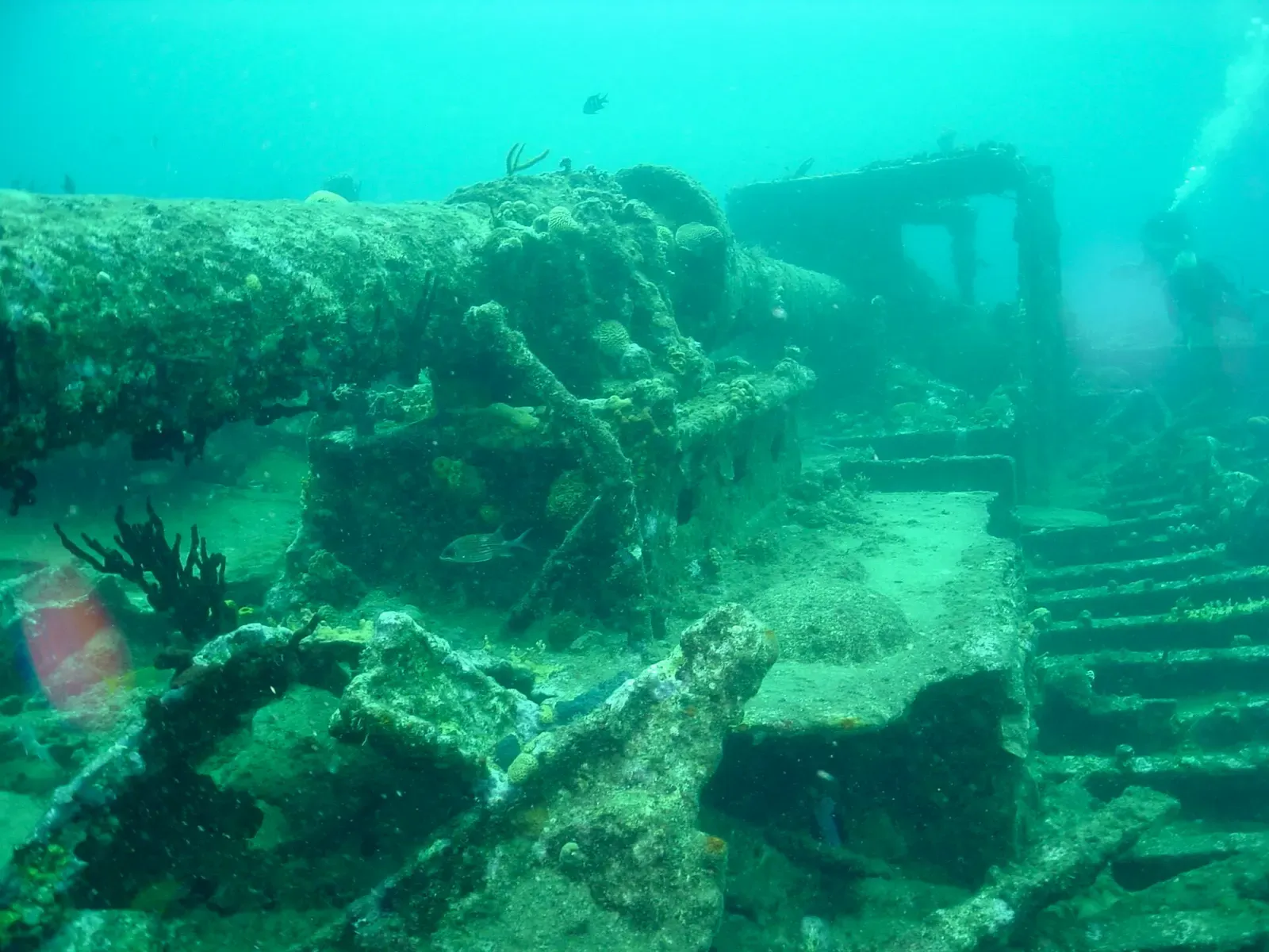 Collapsed steel hull frames of the stern wreckage covered in coral and sponge growth — BVI