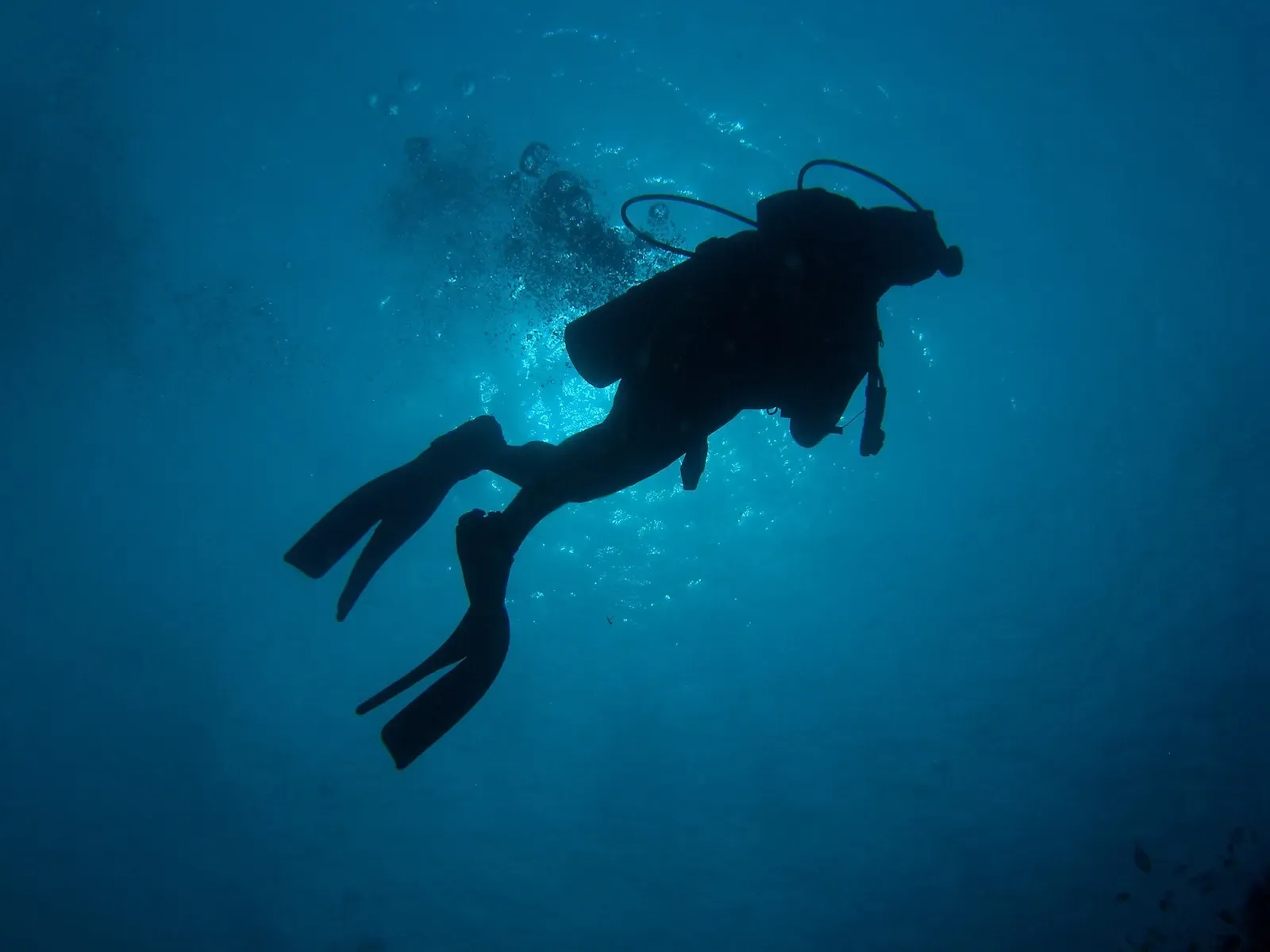 A scuba diver in silhouette against sunlit blue water near Apo Island — Rock Point East.