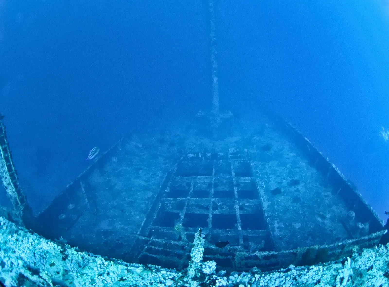 A head-on view straight into the wreck's bow lattice, symmetrical and coral-covered — Numidia Wreck, Brothers & Daedalus