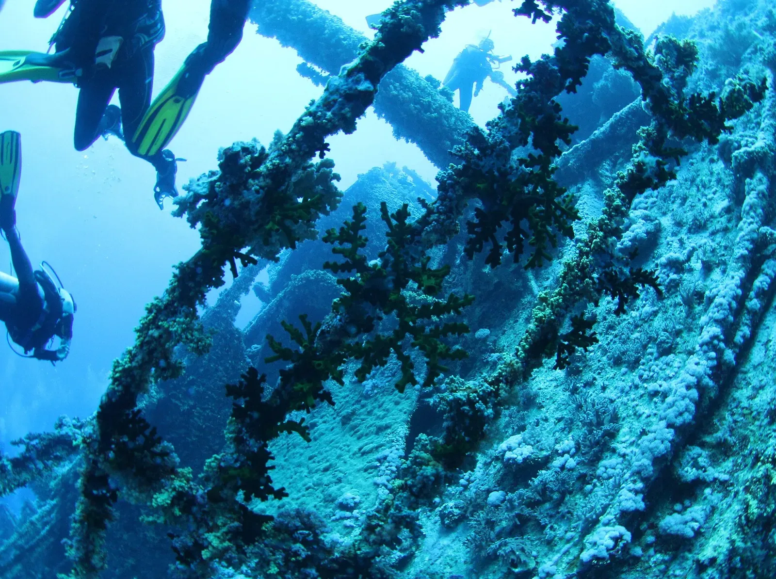 Divers navigating the coral-encrusted deck beams of a wreck off Big Brother — Big Brother Island, Brothers & Daedalus