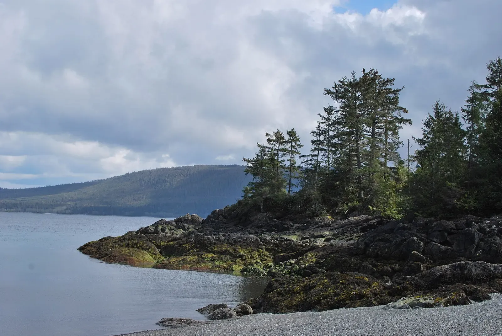 A rocky point topped with conifers juts into calm water, with a forested headland across the inlet under broken cloud — Haida Gwaii