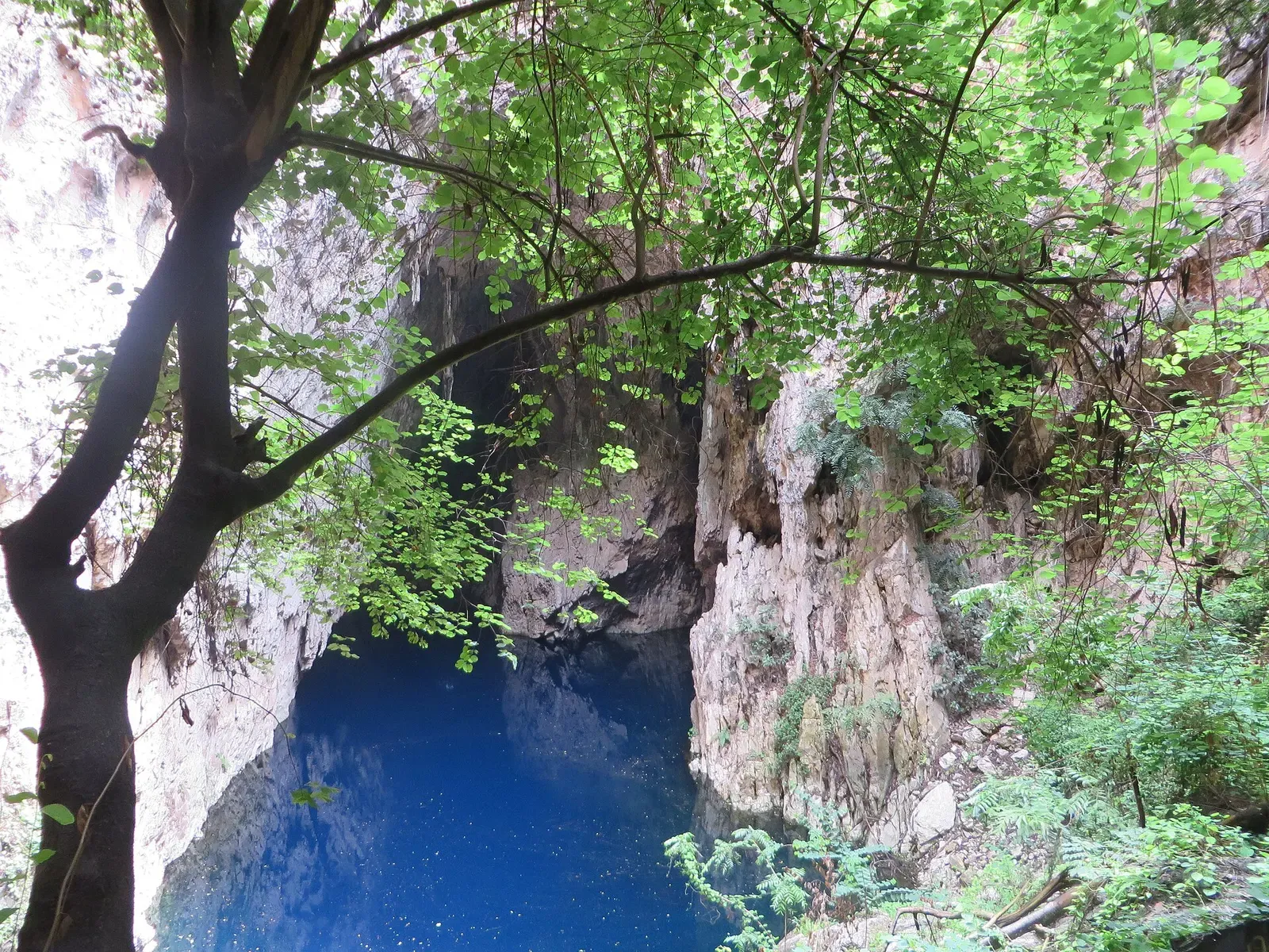 Deep blue sinkhole pool enclosed by limestone walls and green vegetation