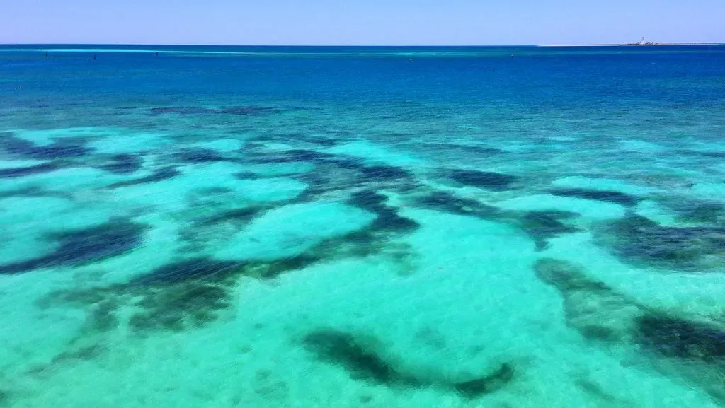 Clear turquoise water over a shallow patchy coral reef near the Dry Tortugas off Key West