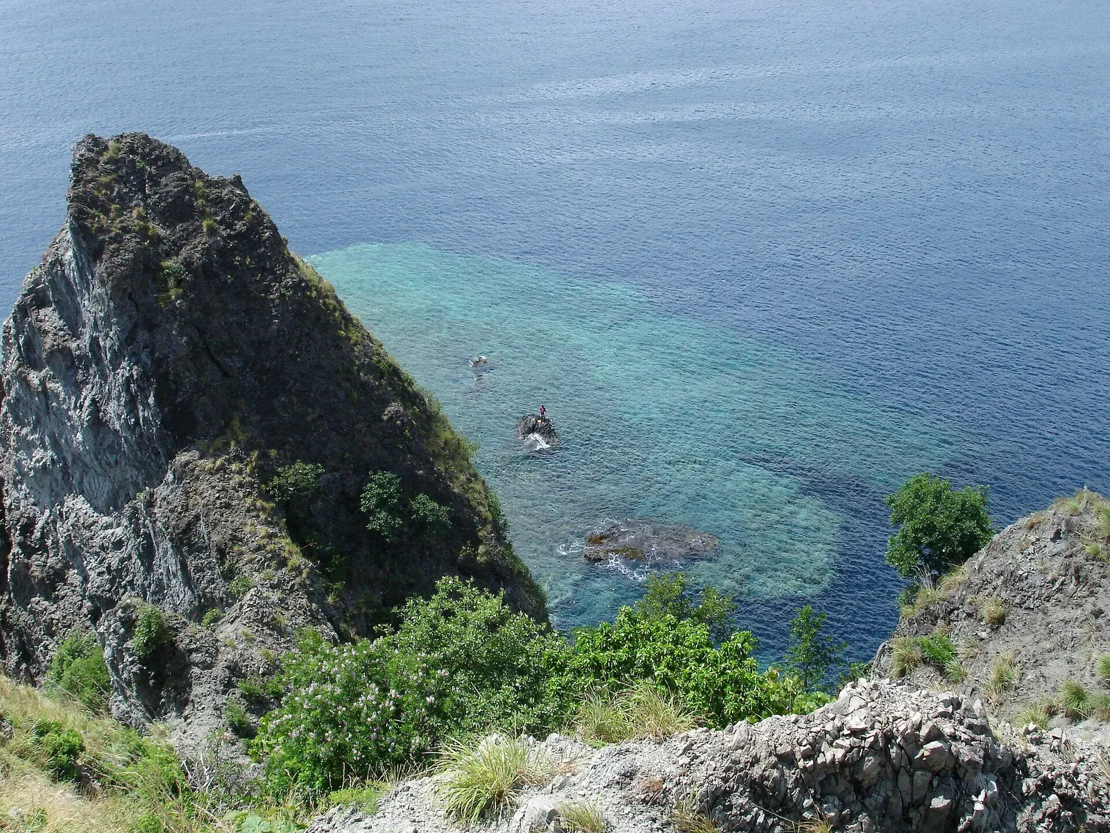Cliff at Scott's Head dropping into a turquoise reef shallows with swimmers near the rock face — Scott's Head Drop-off, Dominica