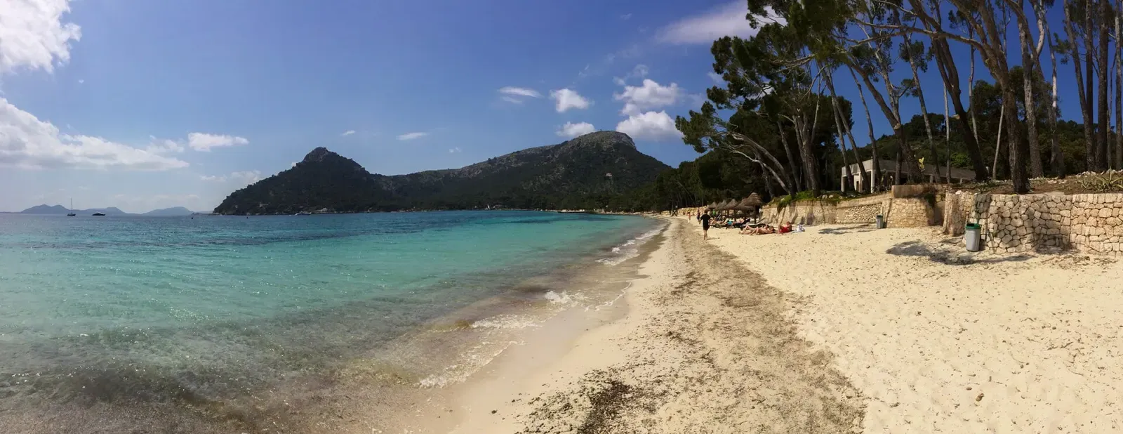 A sandy cove beach beneath pine-covered hills near Cap de Formentor, Mallorca.