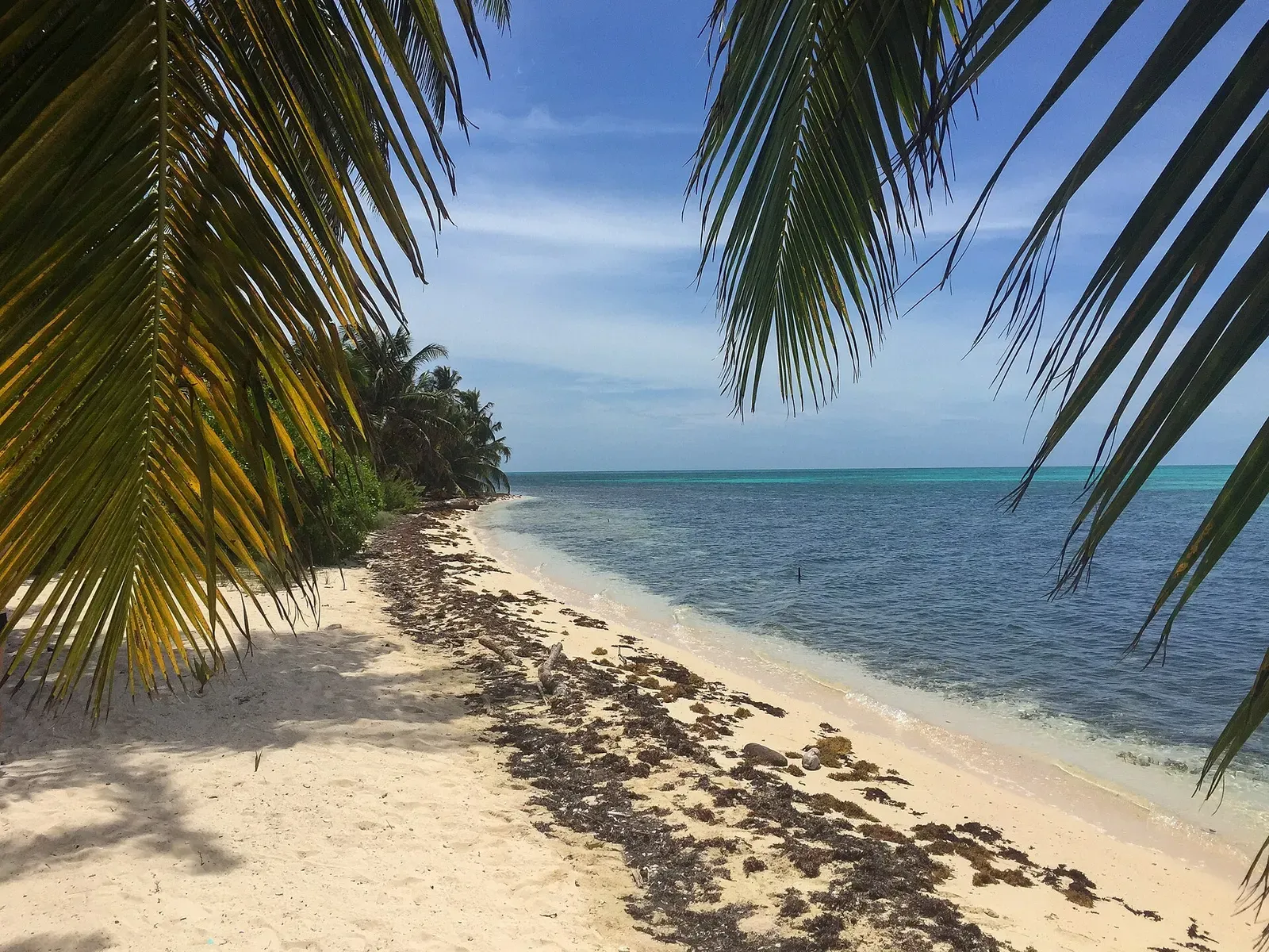 Sandy beach spit curving along Half Moon Caye with pale reef flats beyond — Half Moon Caye Wall, Belize Barrier Reef.