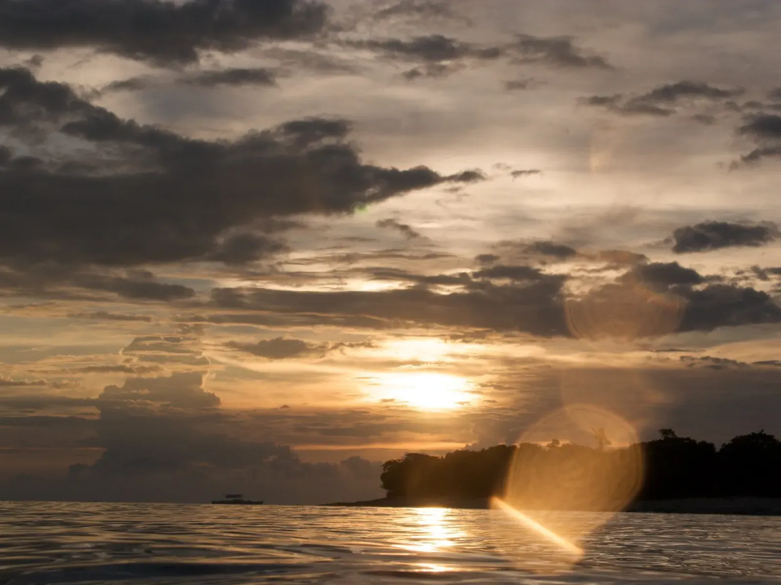 Sunset silhouettes Balicasag Island's treeline across the calm sea