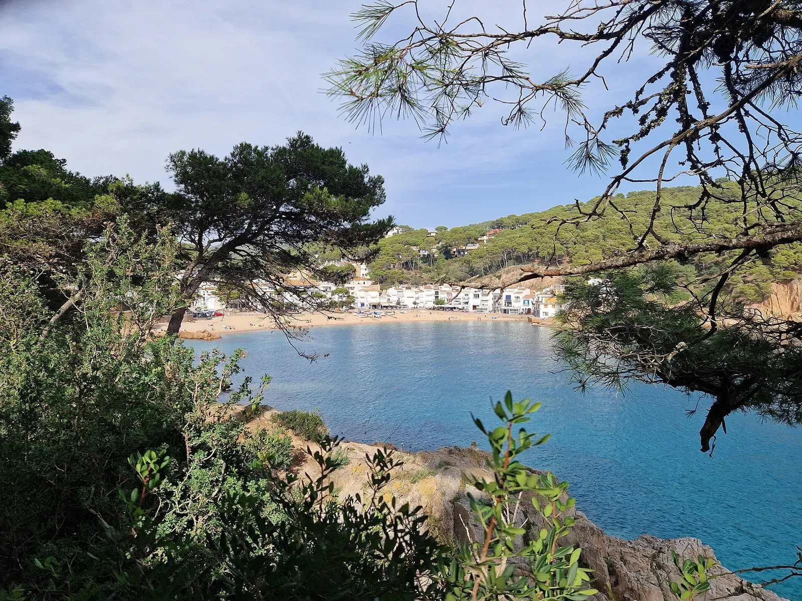 Tamariu bay glimpsed through pine trees from the coastal path