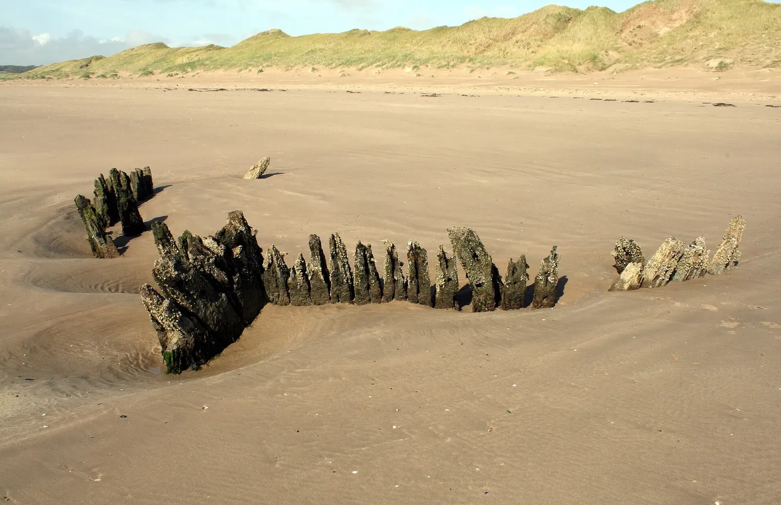 Blackened wooden ribs of an old wreck sticking out of a wide sand beach backed by dunes — Anglesey