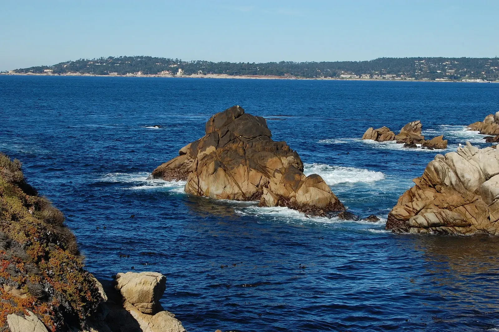 View across Whalers Cove toward the offshore rocks near the dive site entry — Middle Reef, Point Lobos