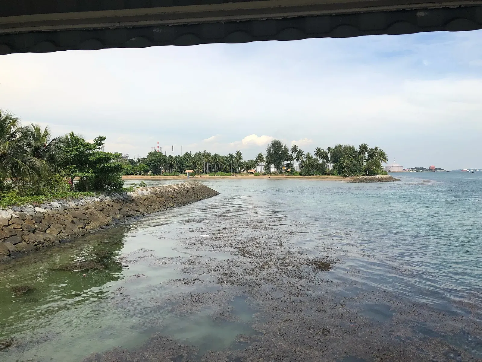 Shallow green water over a reef flat beside a rock seawall, with a low palm-covered islet across the channel — Pulau Hantu & Singapore's Southern Islands