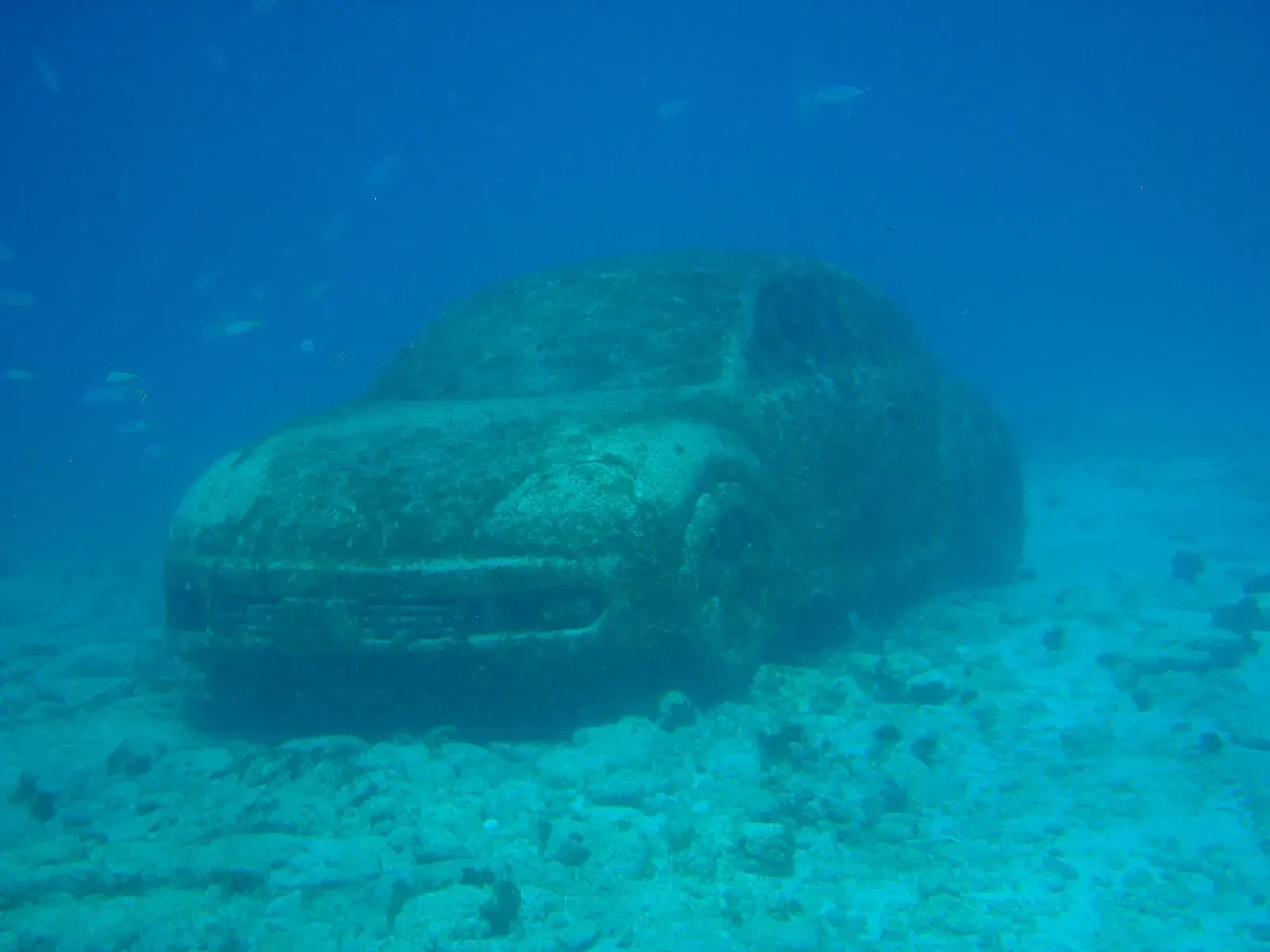 A coral-covered Volkswagen Beetle sculpture rests on the seabed at the MUSA underwater museum — Isla Mujeres
