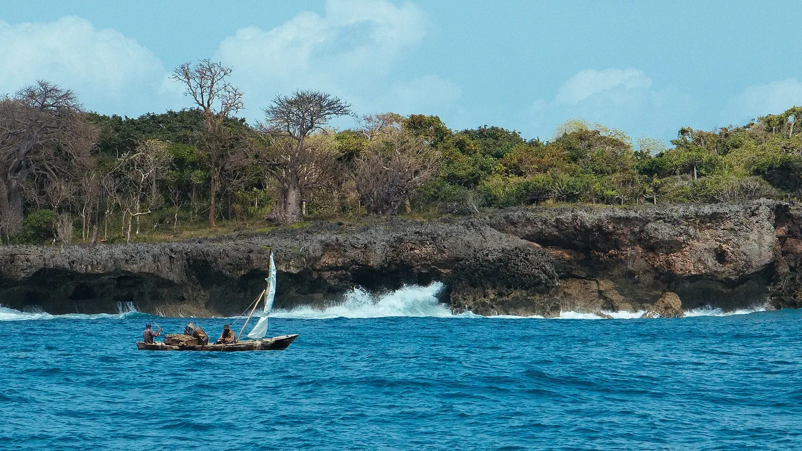 A small sailing canoe with three people passes waves breaking on a low coral-rock cliff topped by baobab trees — Wasini Island & Kisite-Mpunguti