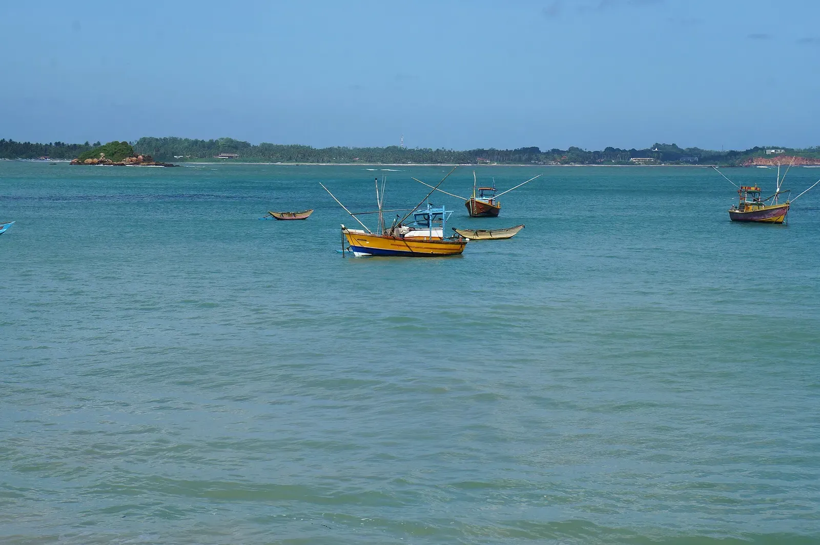 Five small yellow and blue fishing boats moored in calm blue water, with a low green shore and a small islet behind — Weligama & Mirissa