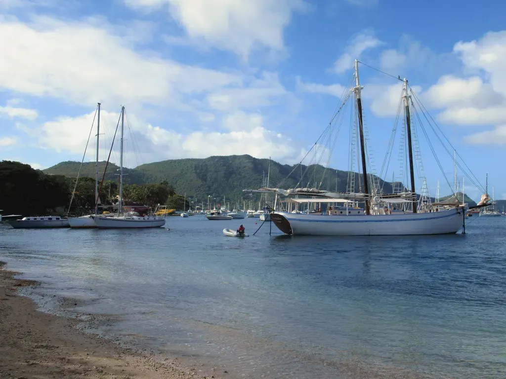 A two-masted schooner and several sailing yachts at anchor in a calm bay below green hills, with a sandy shore in front — Bequia.