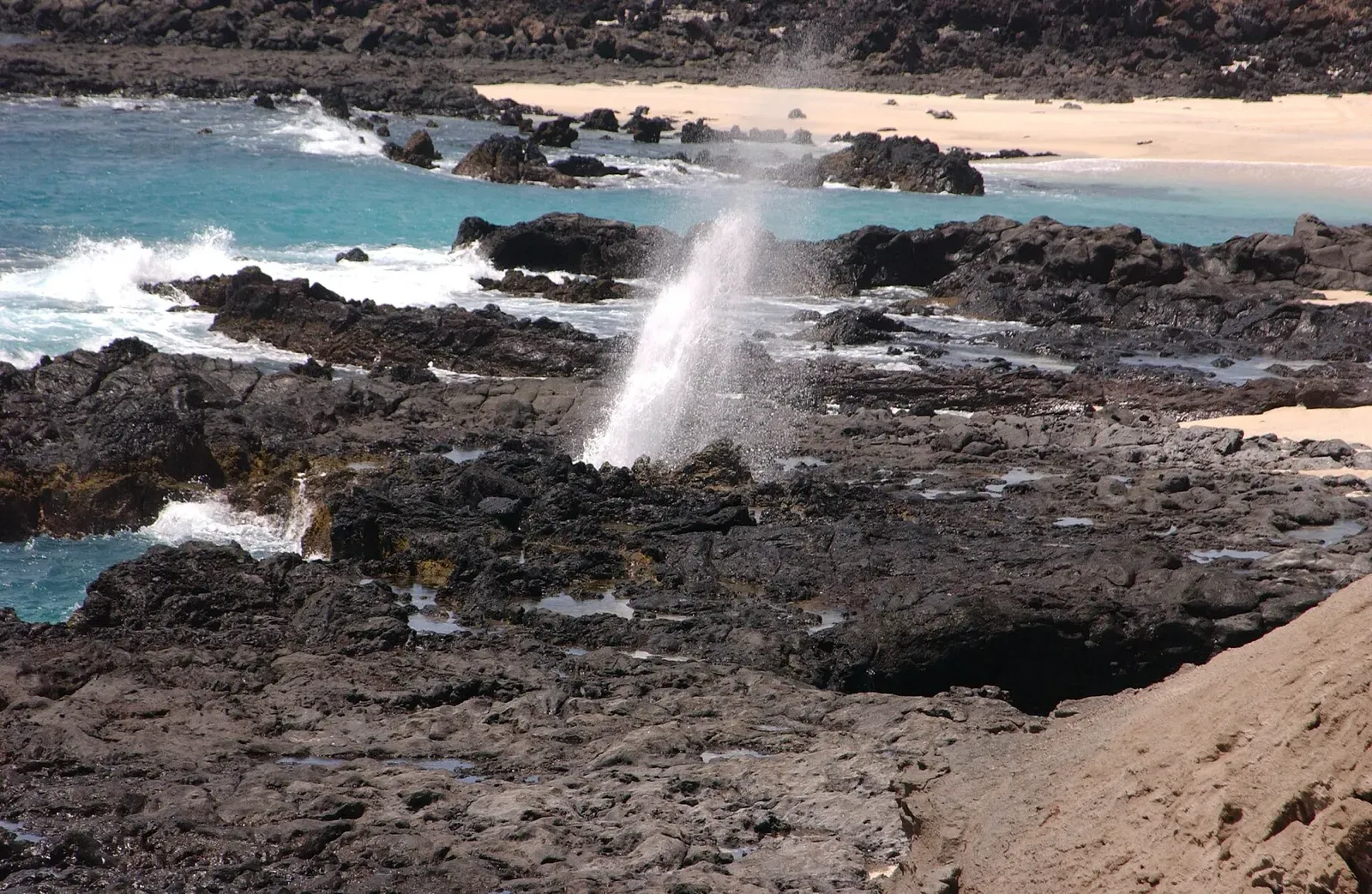 Spray bursting from a blowhole in black lava rock, with surf and a pale sand beach behind — Ascension Island