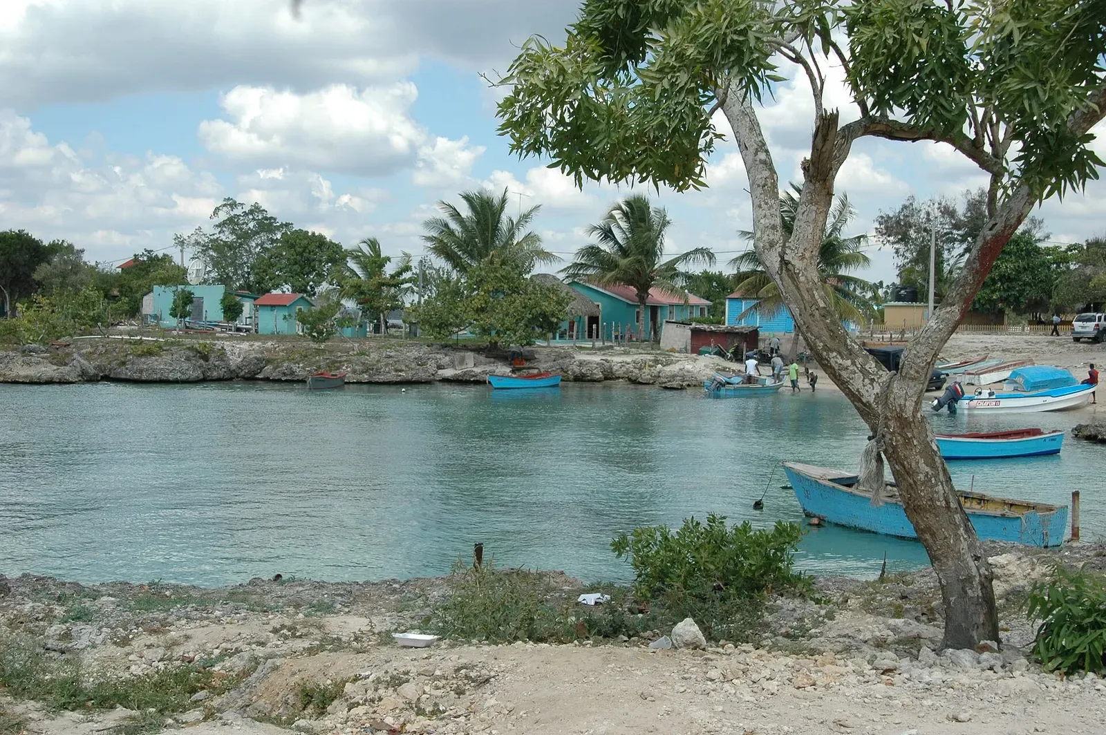 Fishing boats moored along the rocky waterfront of Bayahibe village