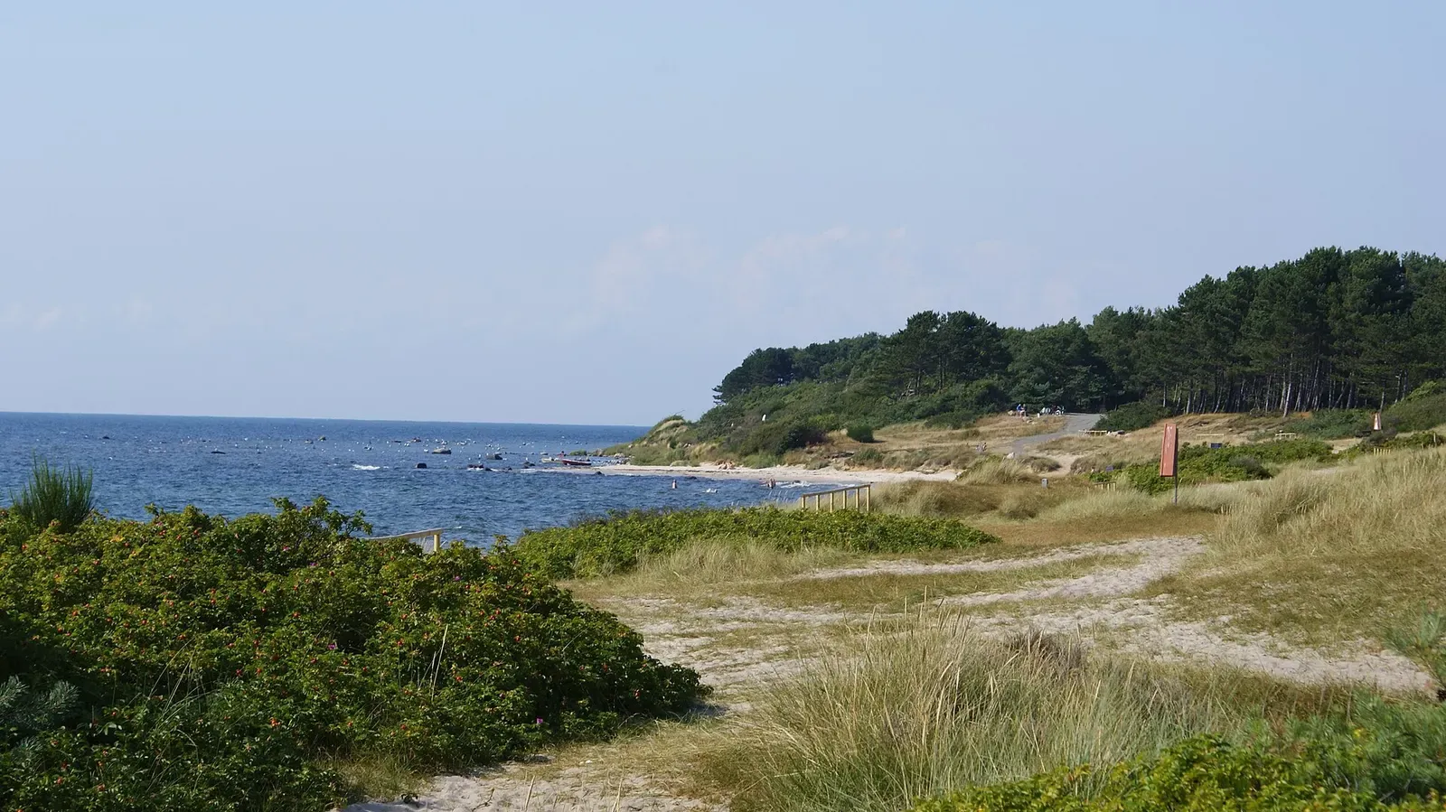Grass and low shoreline at Hasle beach with the Baltic beyond — Bornholm