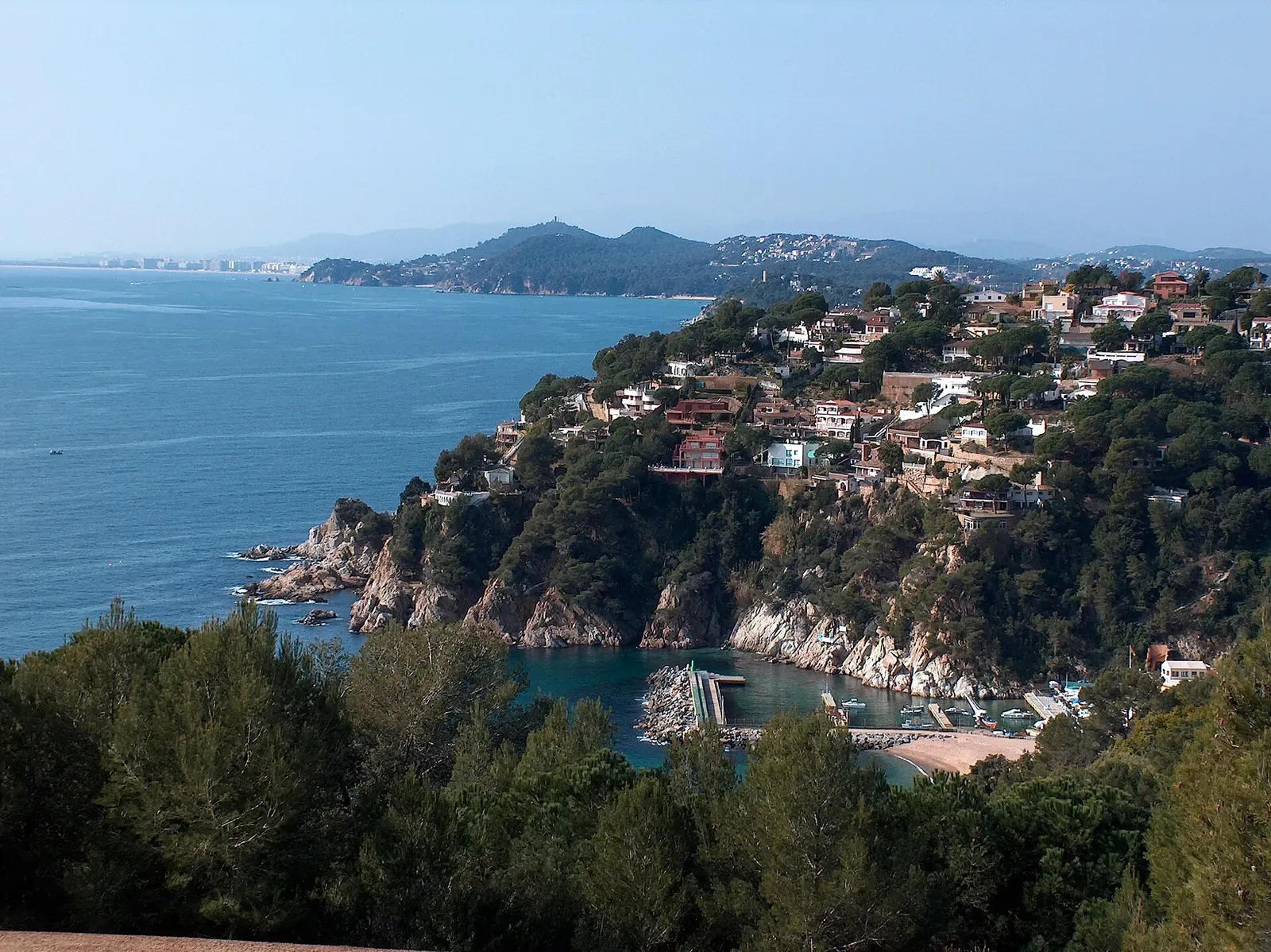 Hillside pines and houses above a small harbour cove, seen from the coastal path at Cala Canyelles.
