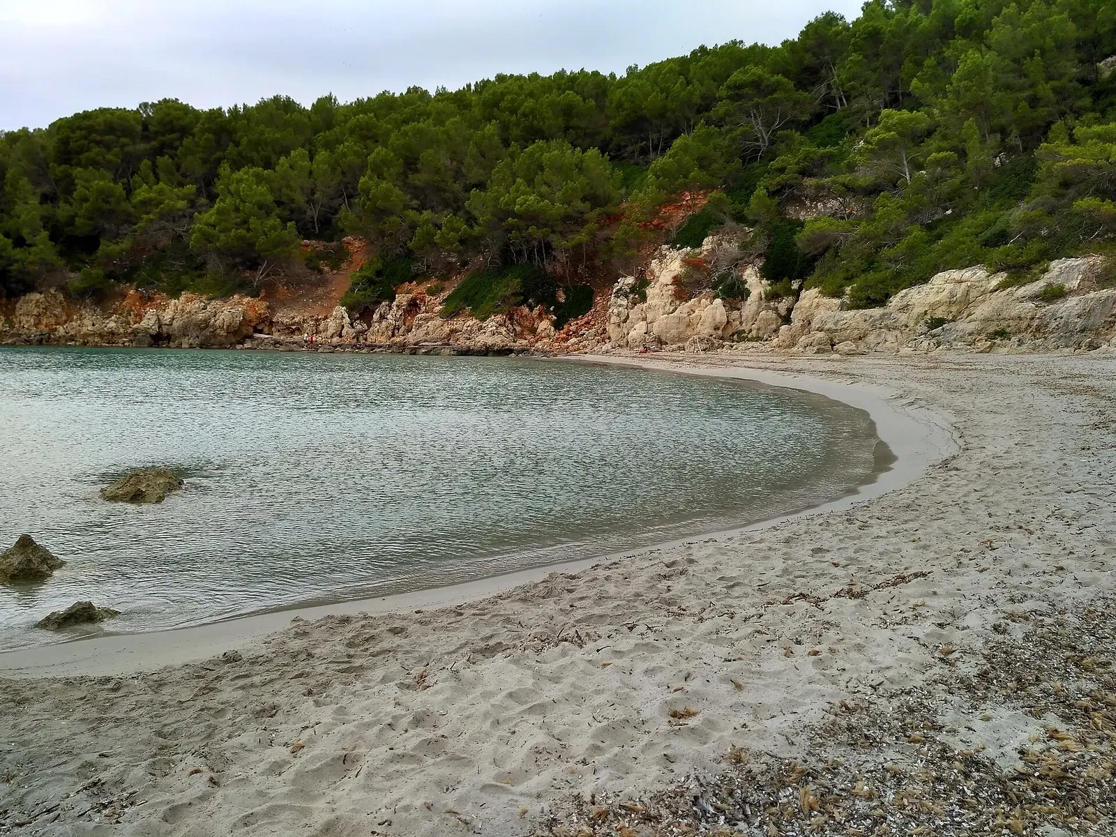 Cala Escorxada, a pine-fringed cove on Menorca's south coast near Cala Galdana