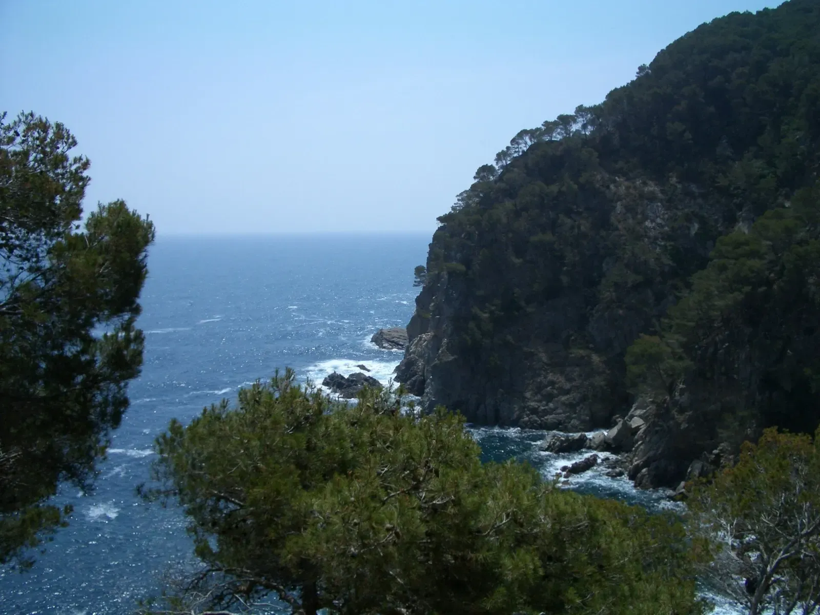 Wide view of Cala Pedrosa's shoreline and islet from the coastal path