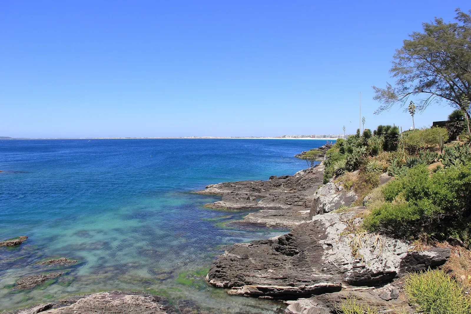 Dark layered rocks and coastal scrub running down into clear turquoise water under a cloudless sky — Cabo Frio