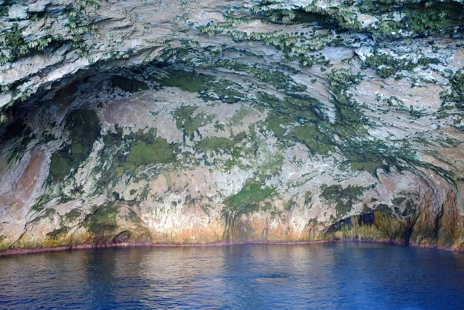 The vaulted rock ceiling of Rikoriko Cave rising above the water inside the chamber — Poor Knights Islands.