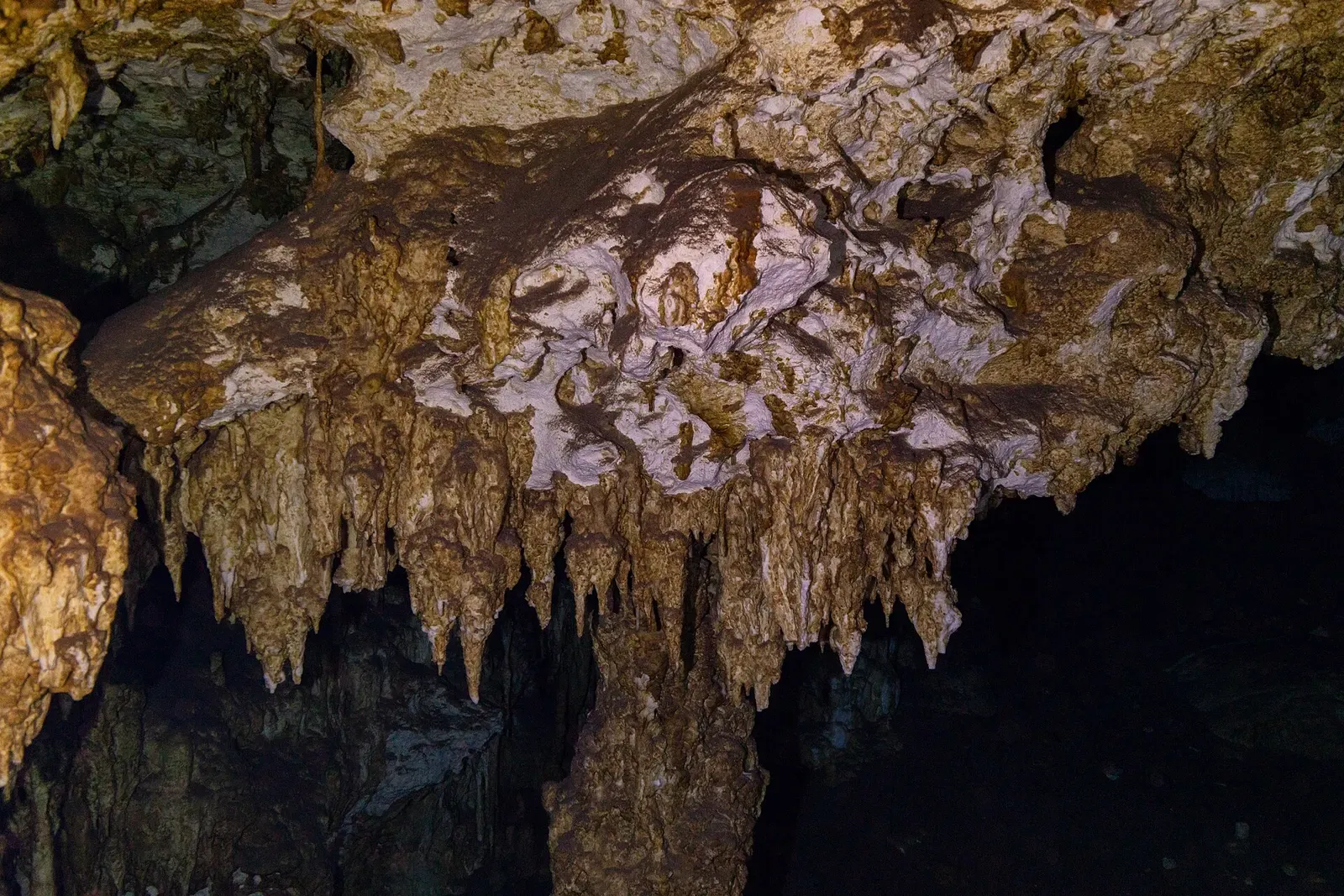 Close-up of pale flowstone and draped mineral formations inside the Dos Ojos cave system — Riviera Maya Cenotes.