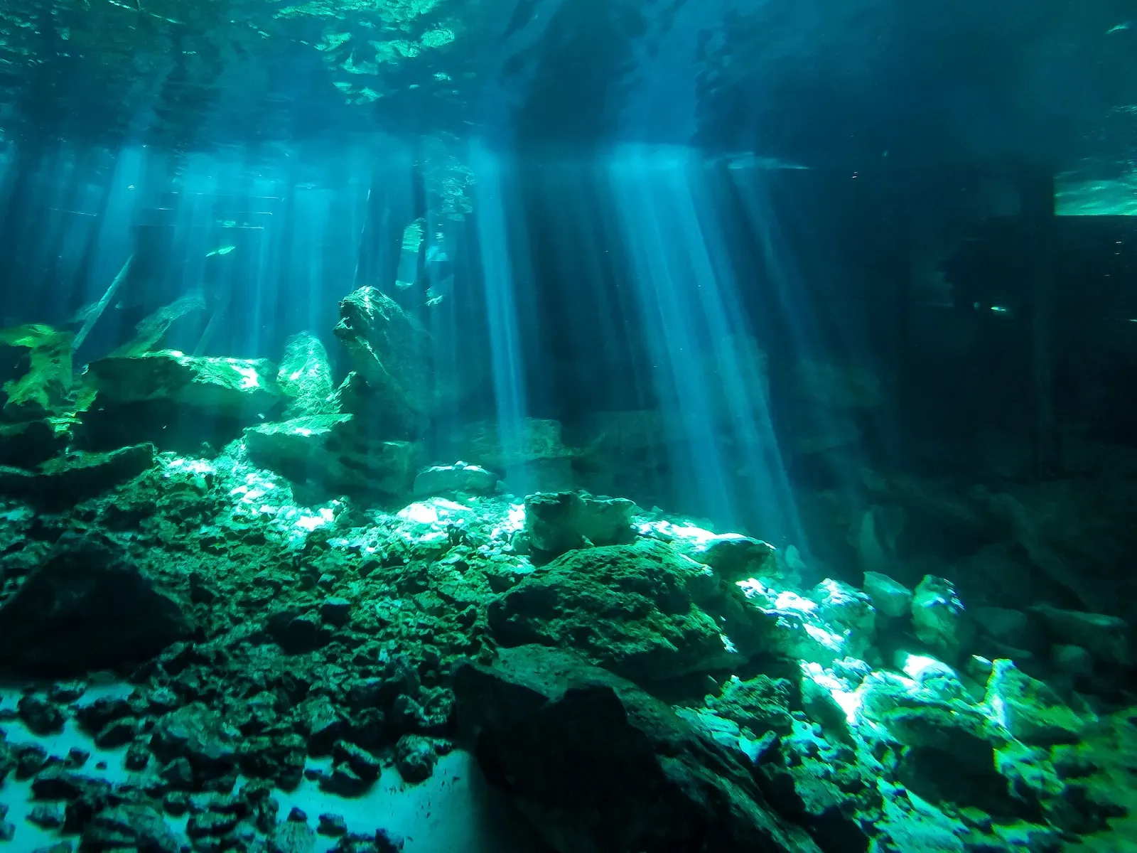 Sunbeams piercing the water inside a limestone cenote, lighting up rock on the cavern floor — Riviera Maya Cenotes