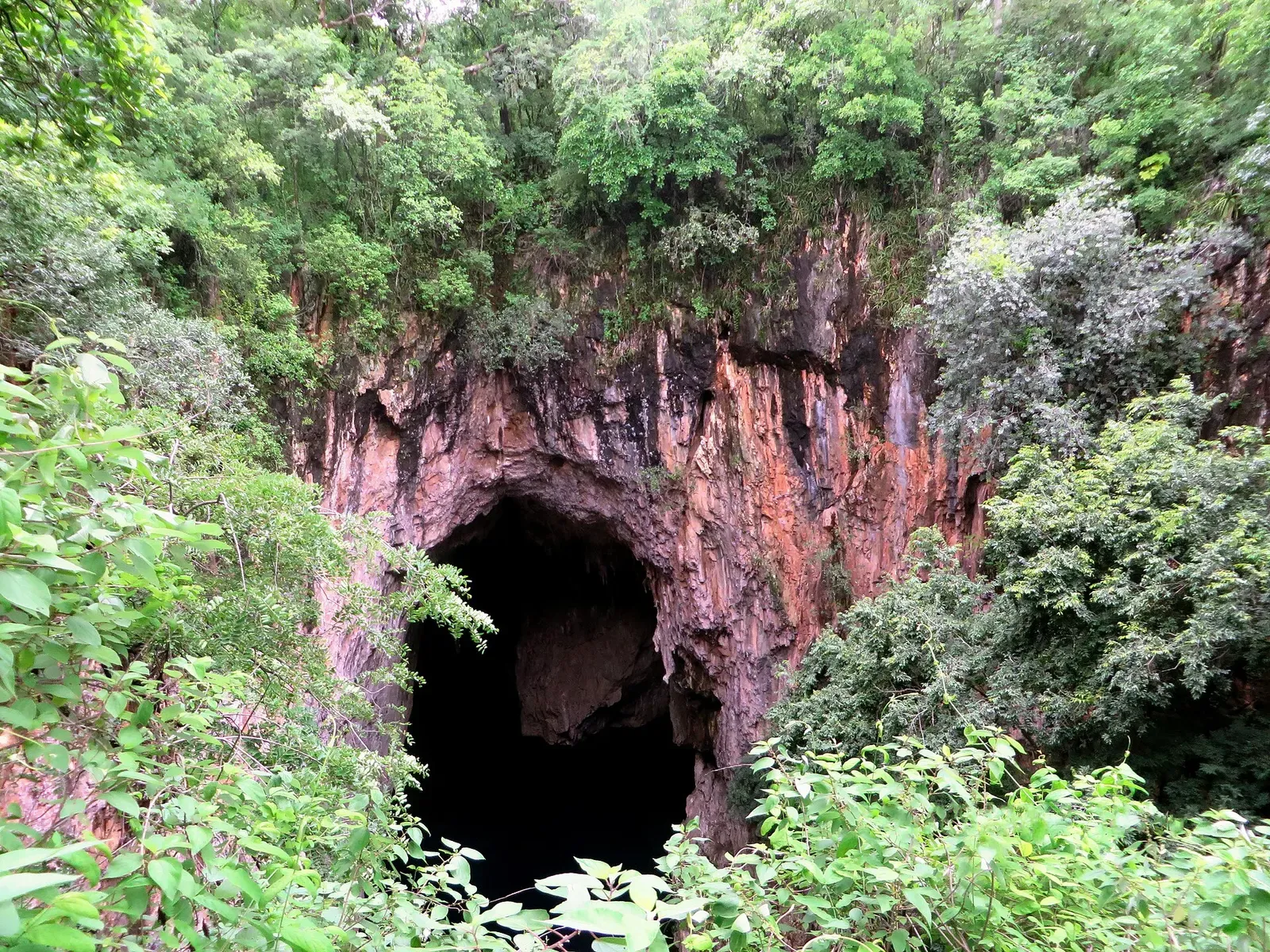 Dark cave entrance in a reddish limestone cliff surrounded by trees