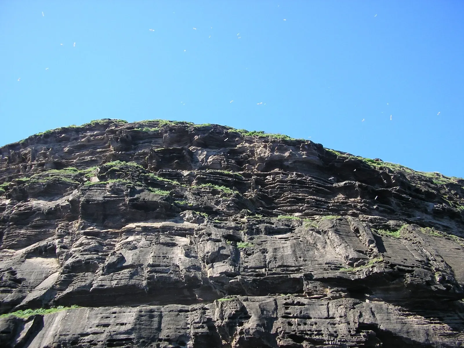 Steep basalt cliffs of Ile Coin de Mire dropping straight into deep blue water — Djabeda, Mauritius.