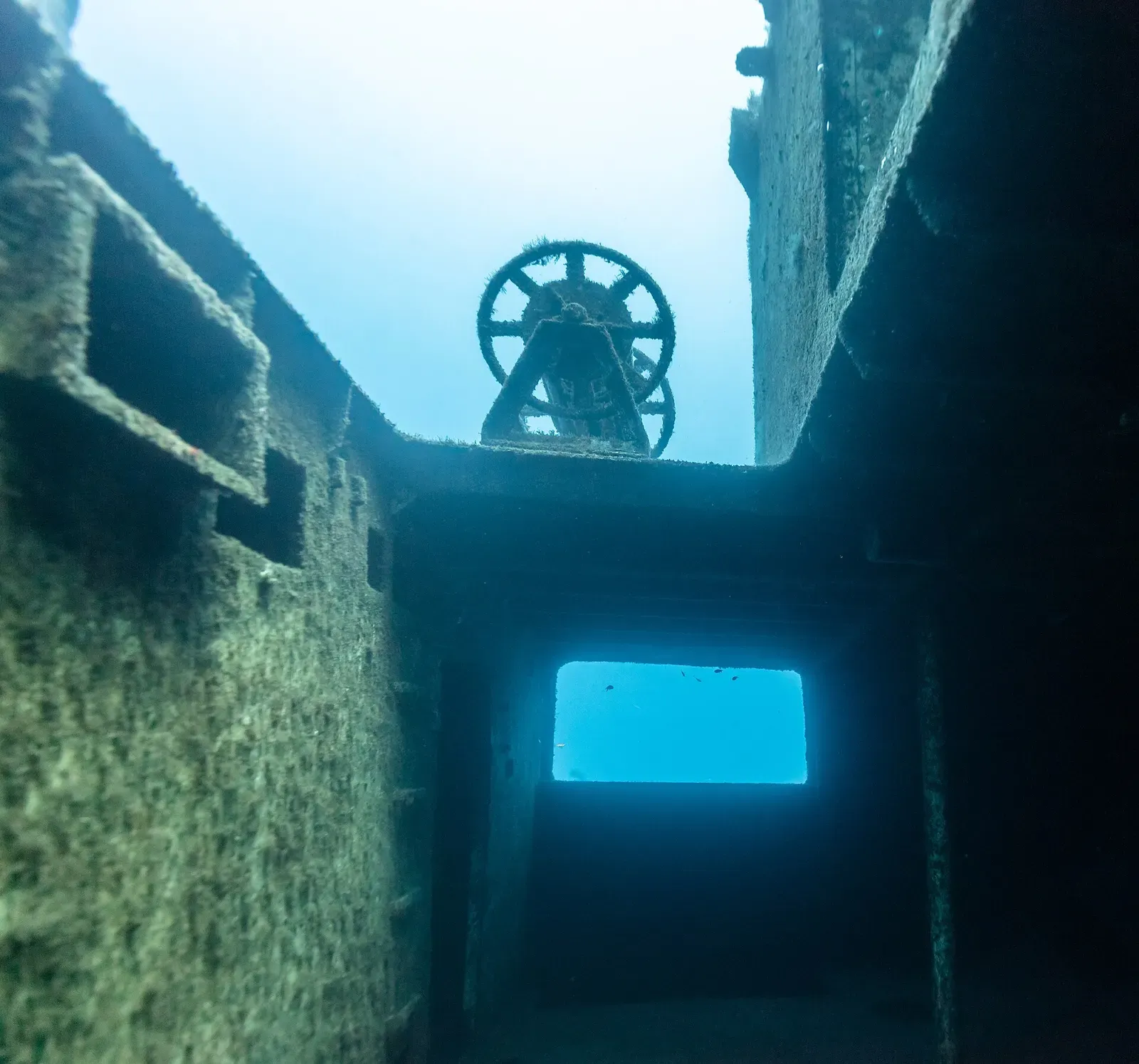Corroded interior passage and porthole opening inside the sunken hull — Wreck of the NRP Afonso Cerqueira, Madeira